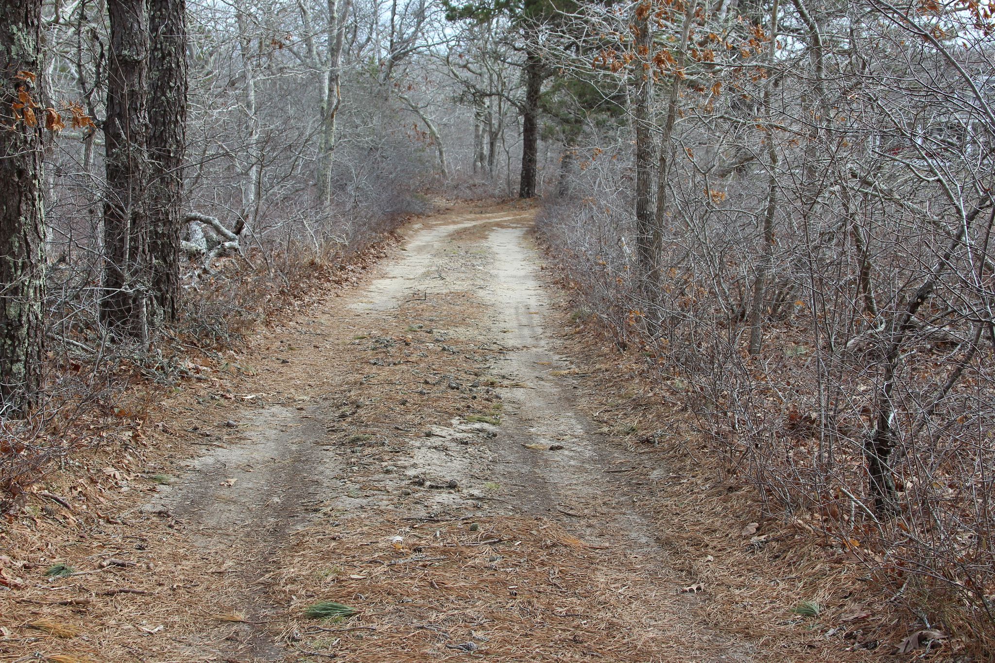 driveway in, trail to left at bend