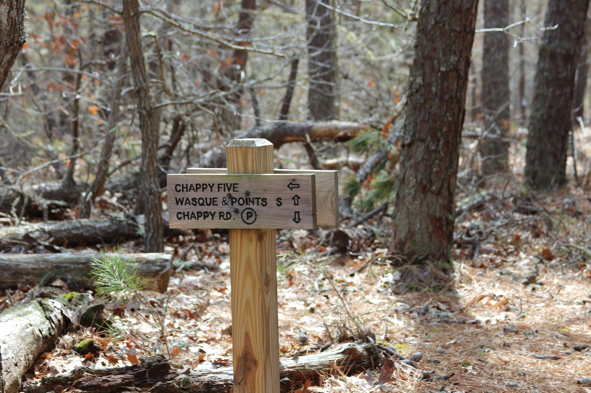 start of trail near parking area