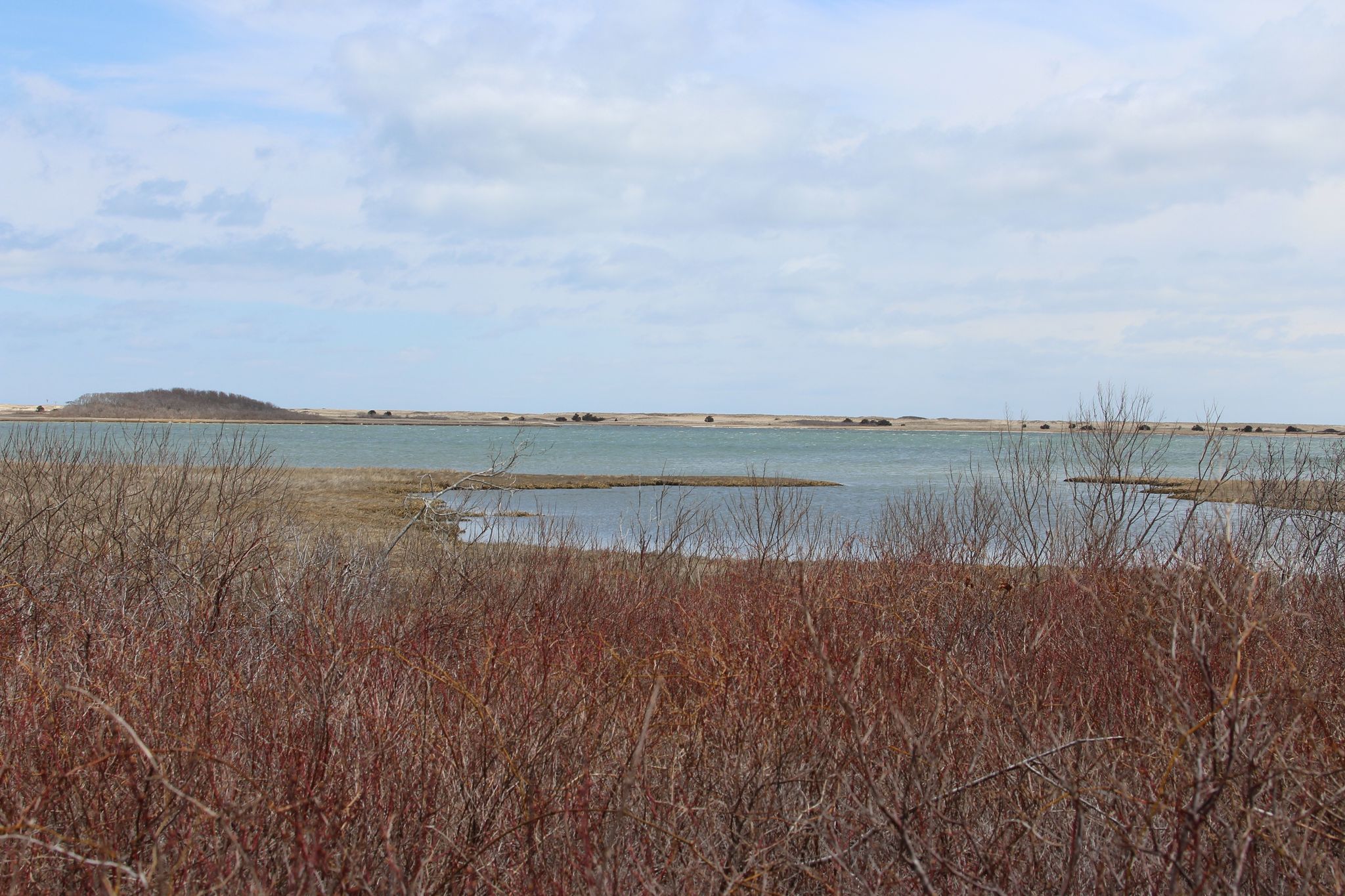 view of pond along trail