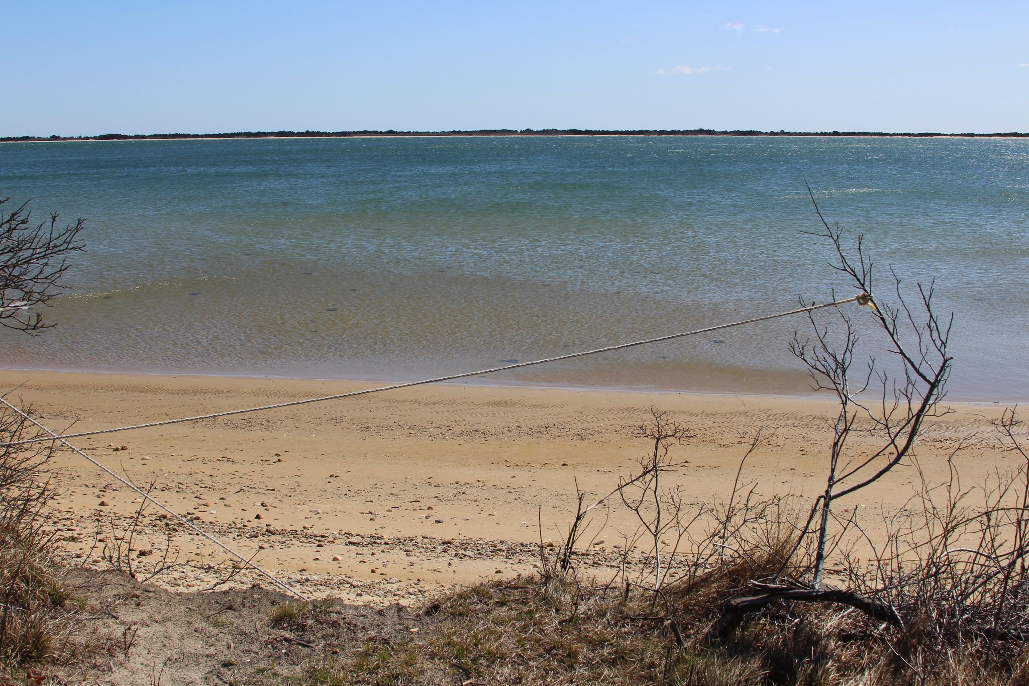 Cape Poge Bay