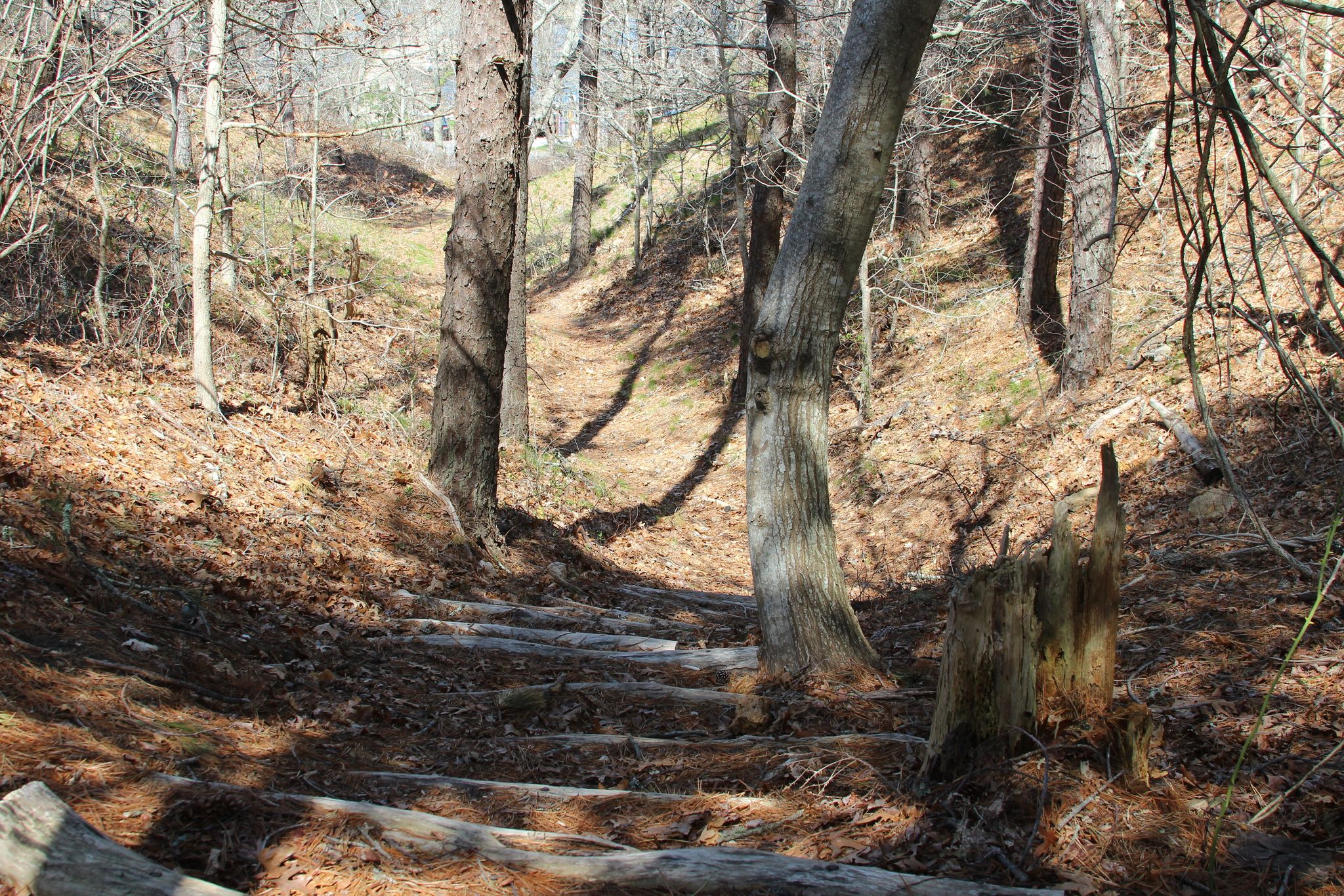 steep steps down to Lagoon