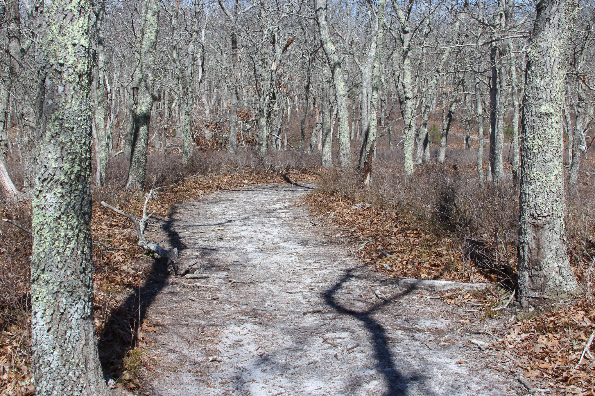 sandy trail