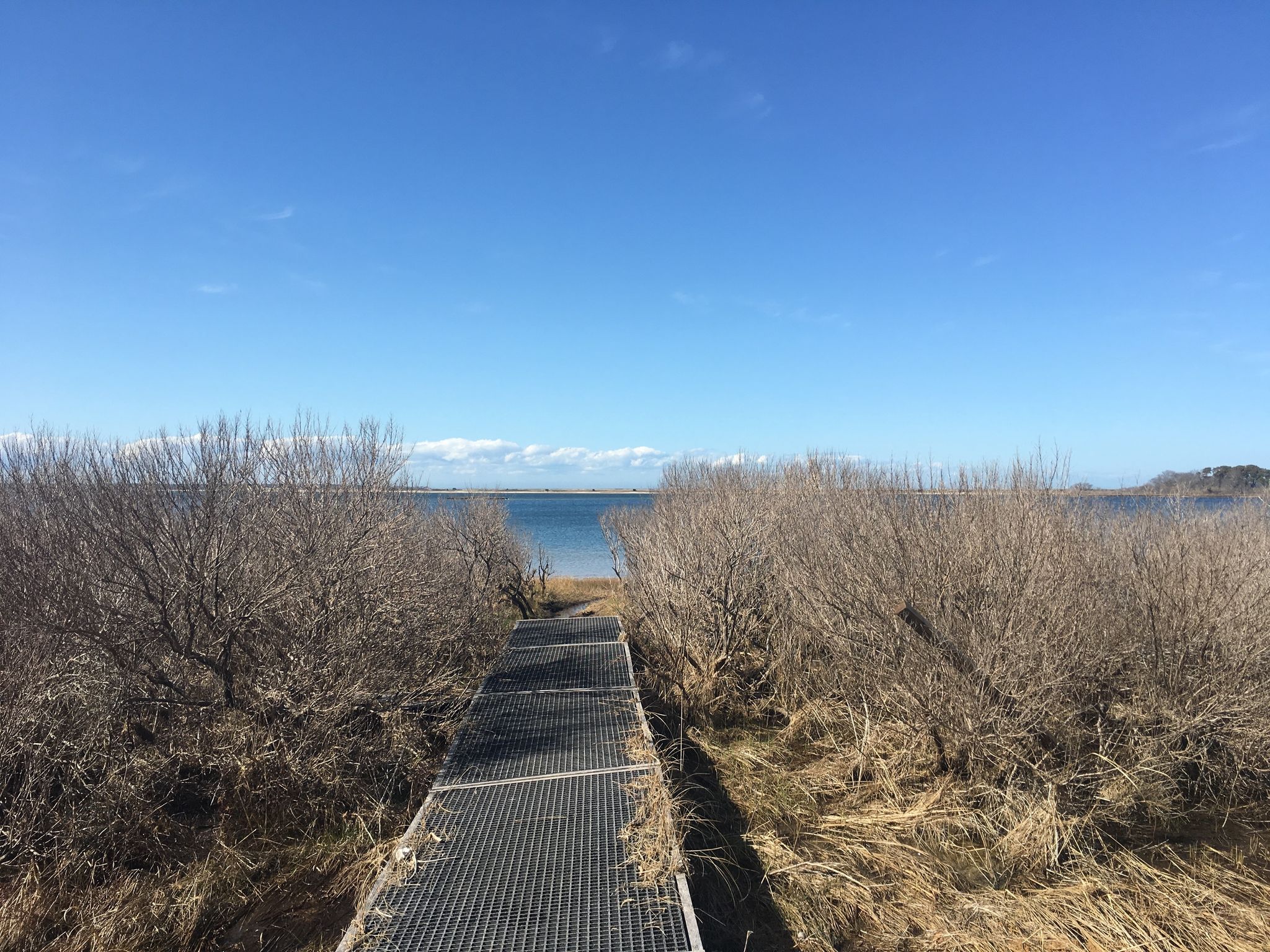 boardwalk