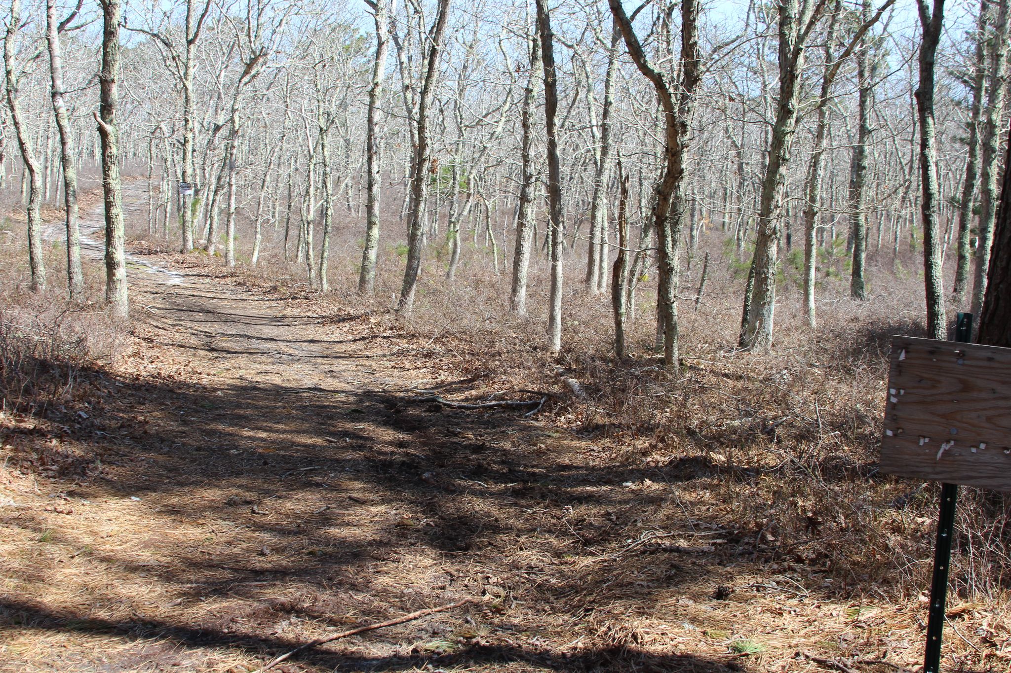 at intersection with Old  Holmes Hole Road