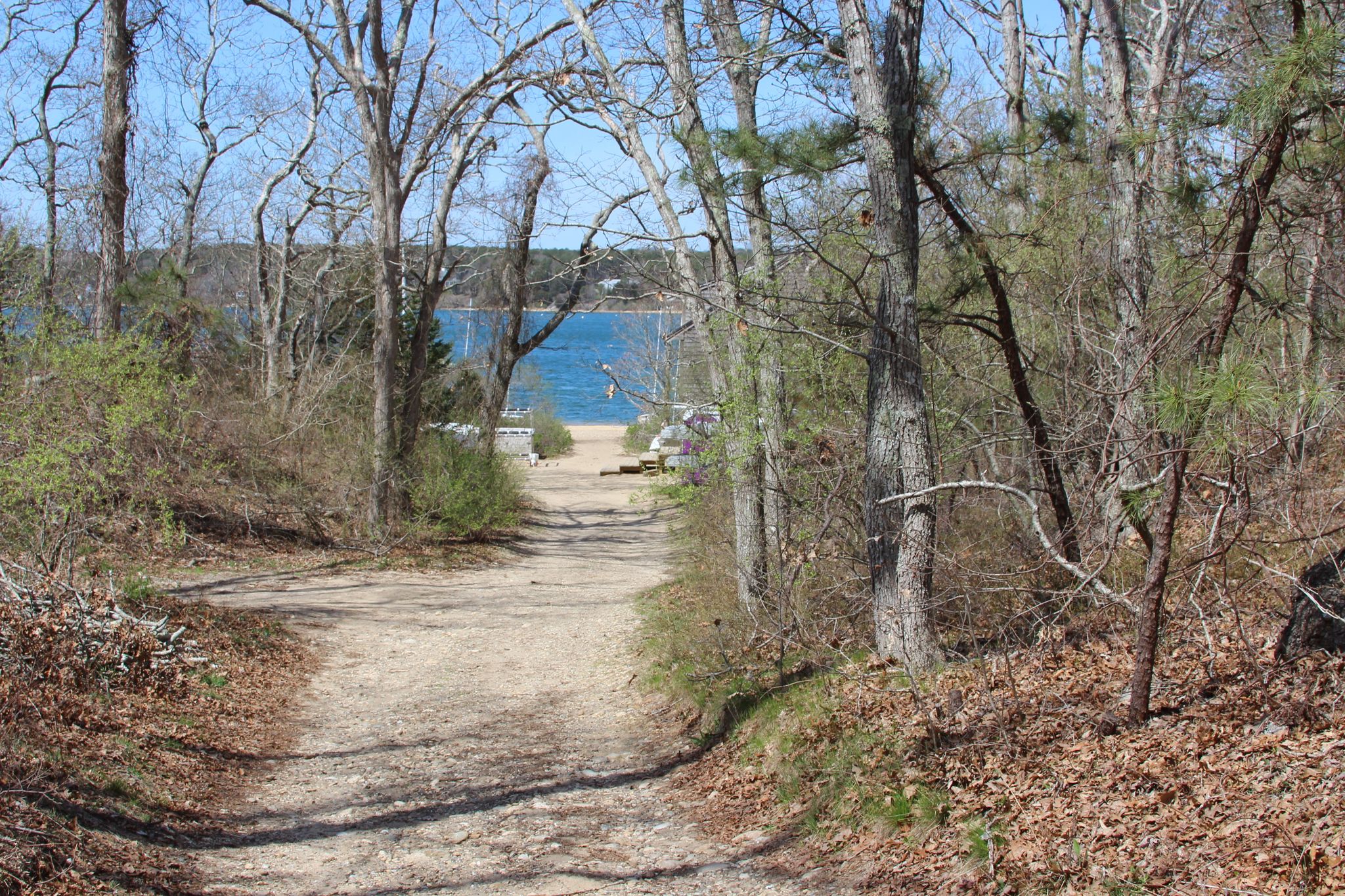 leading to water's edge