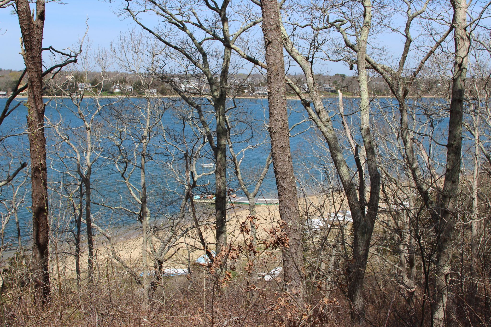 view to Lagoon