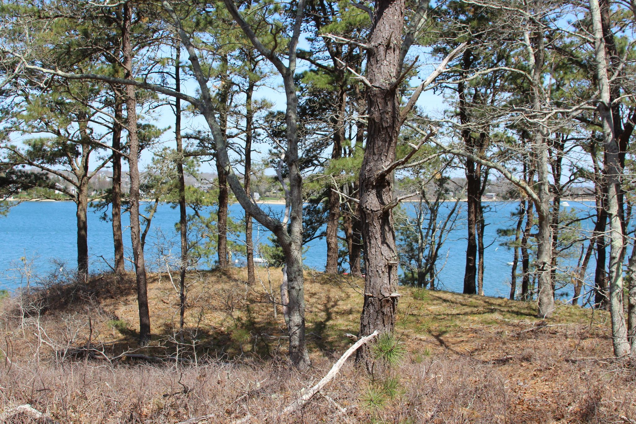 view of Lagoon Pond