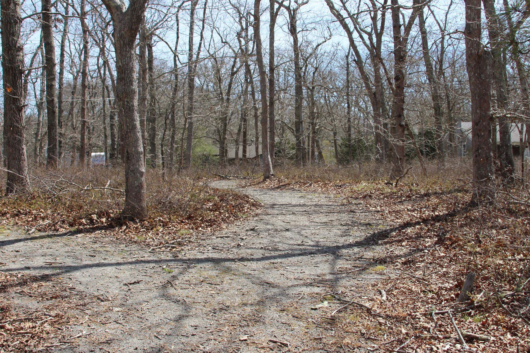 gravel/stone dust path