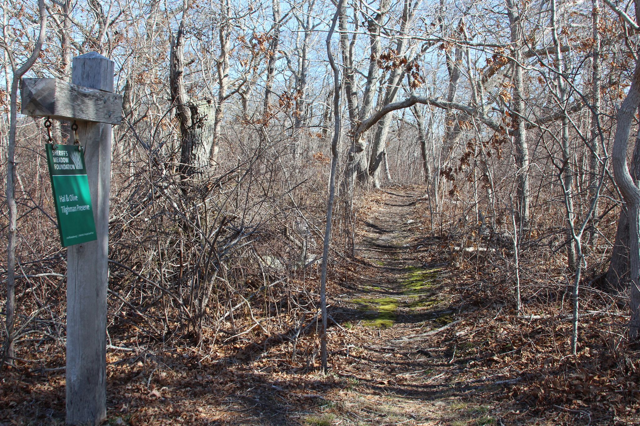 trailhead at Chappaquiddick Road