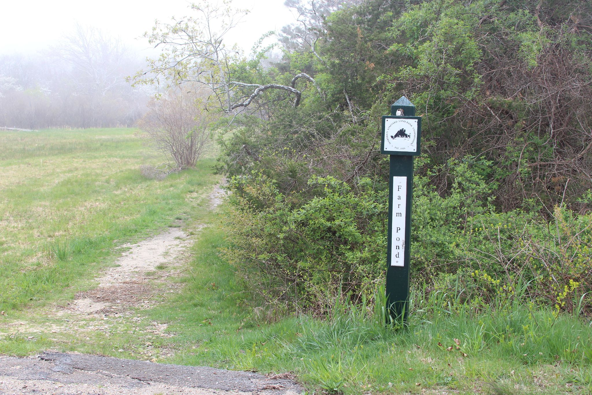 sign at South Circuit Avenue