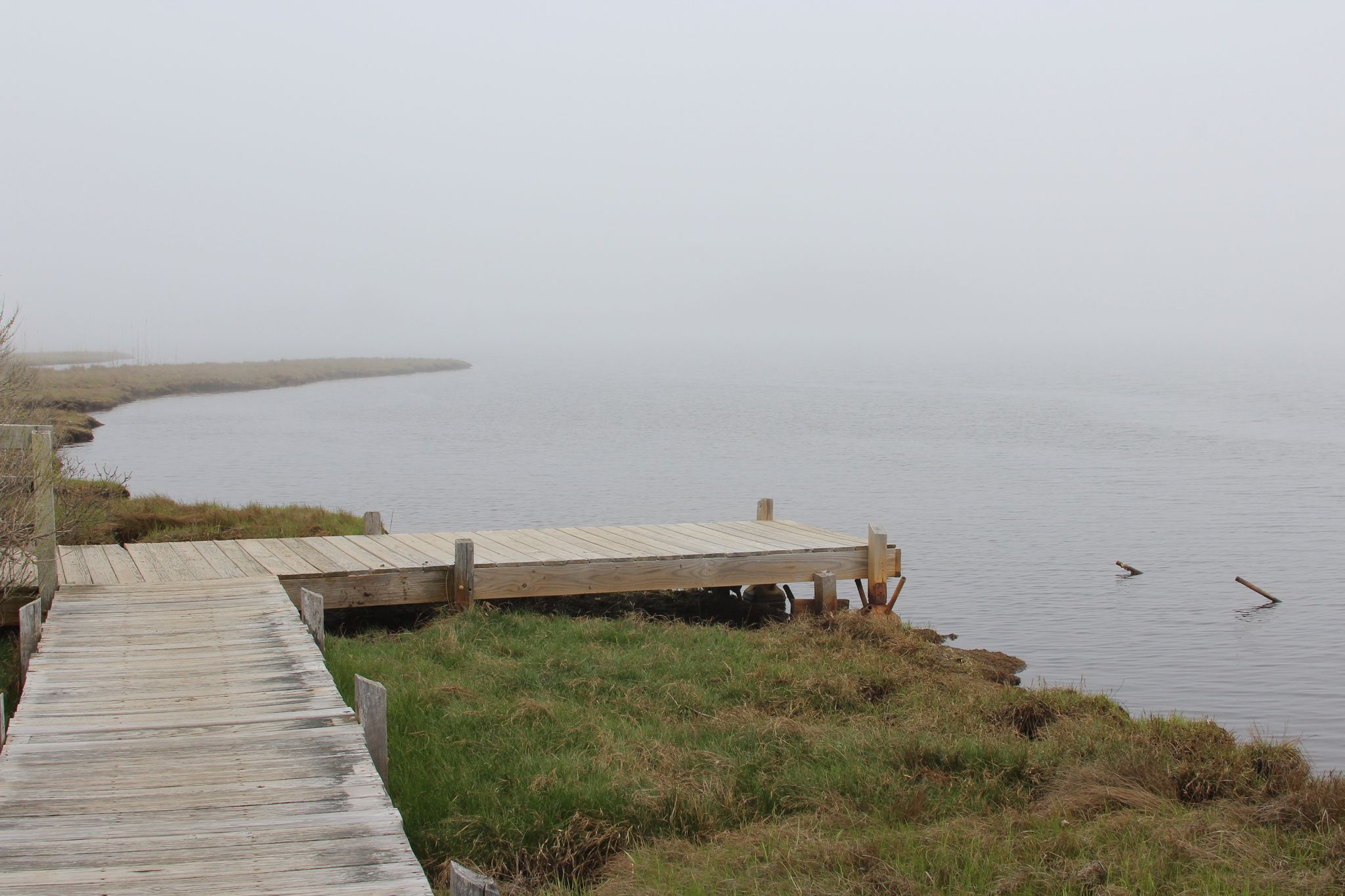 viewpoint overlooking pond