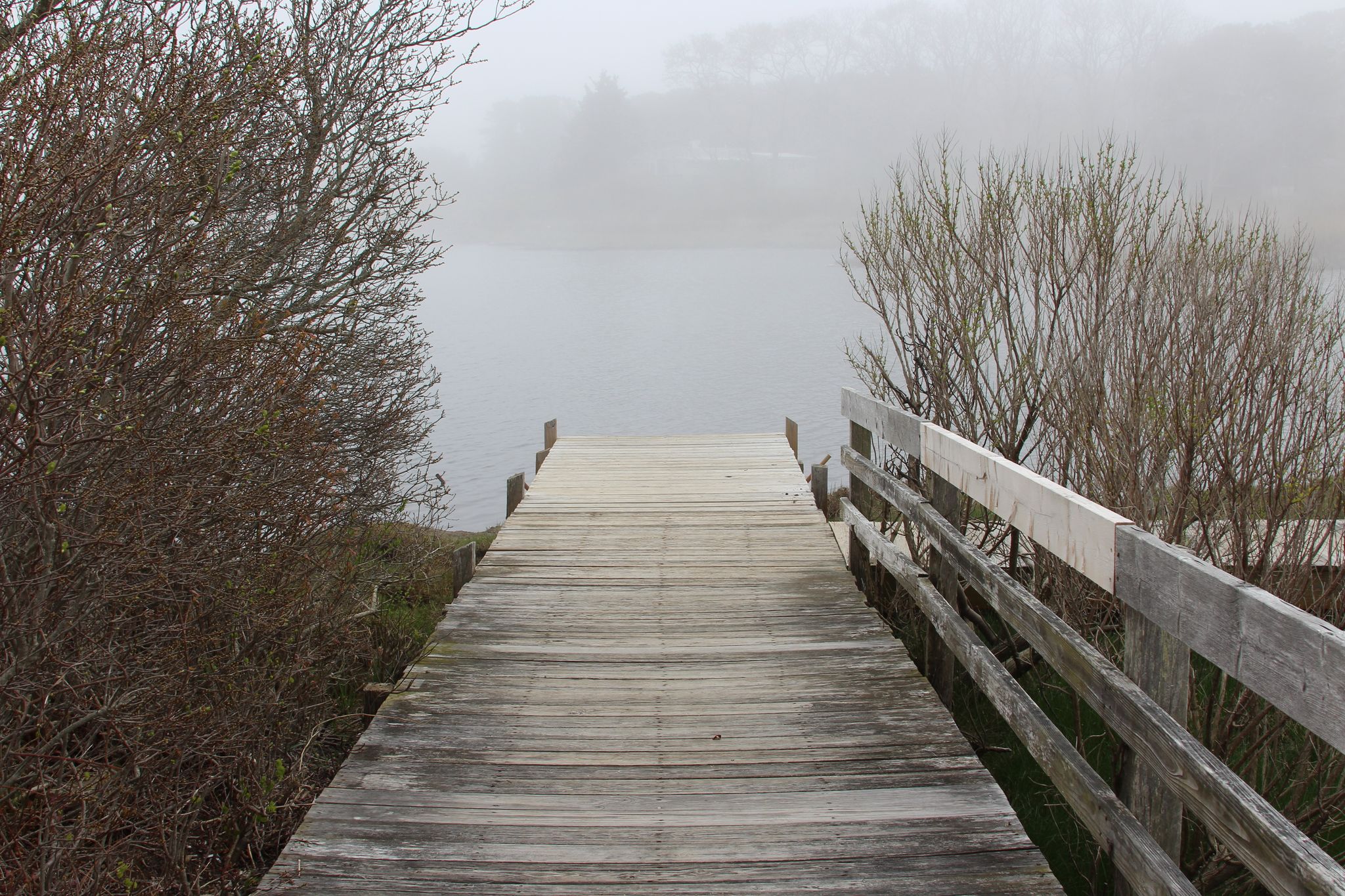 viewpoint overlooking pond