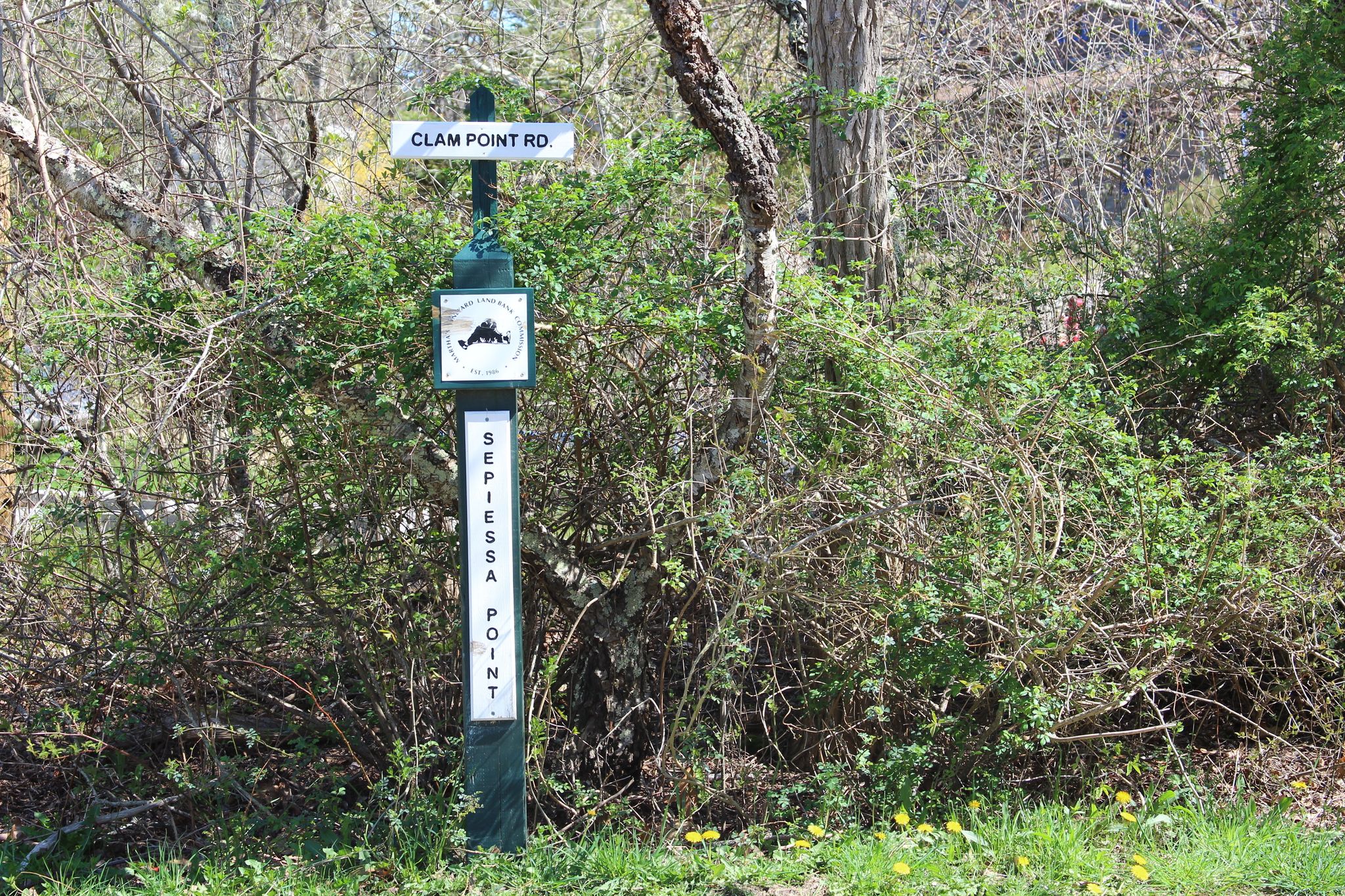 sign at Tiah's Cove Road