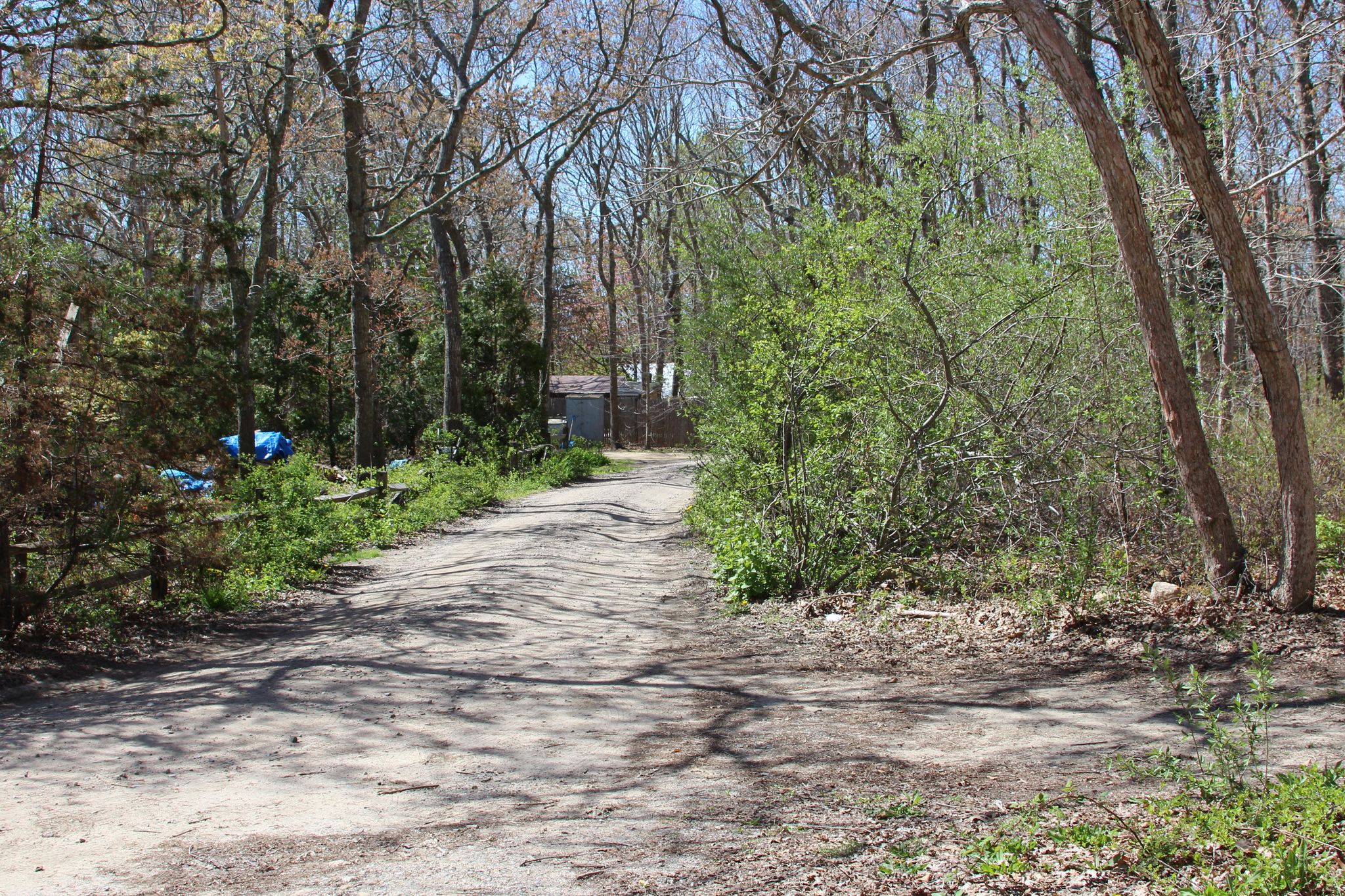 at end of Sea Glen Road, looking south 