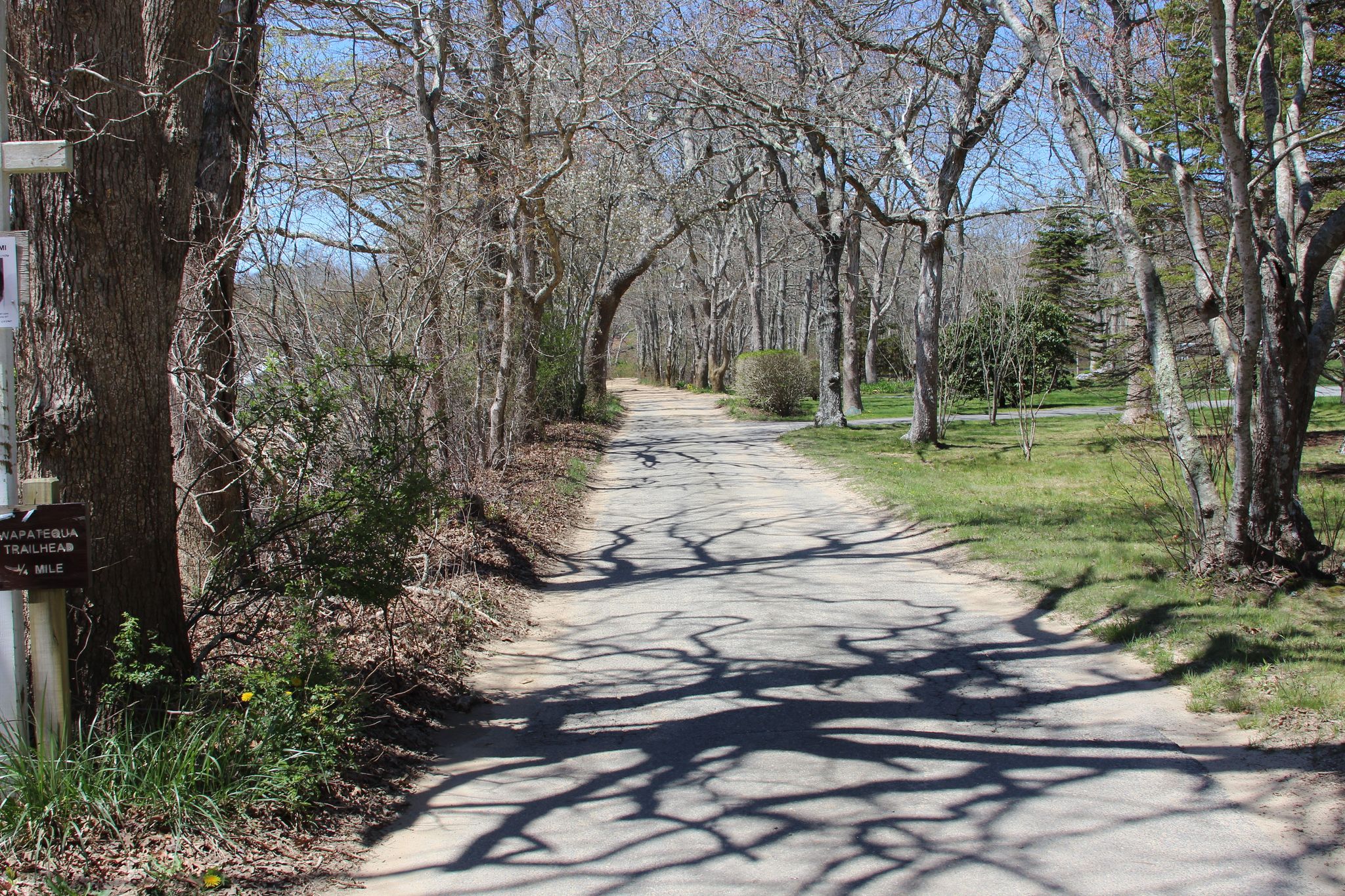 Road near entrance to Thimble Farm