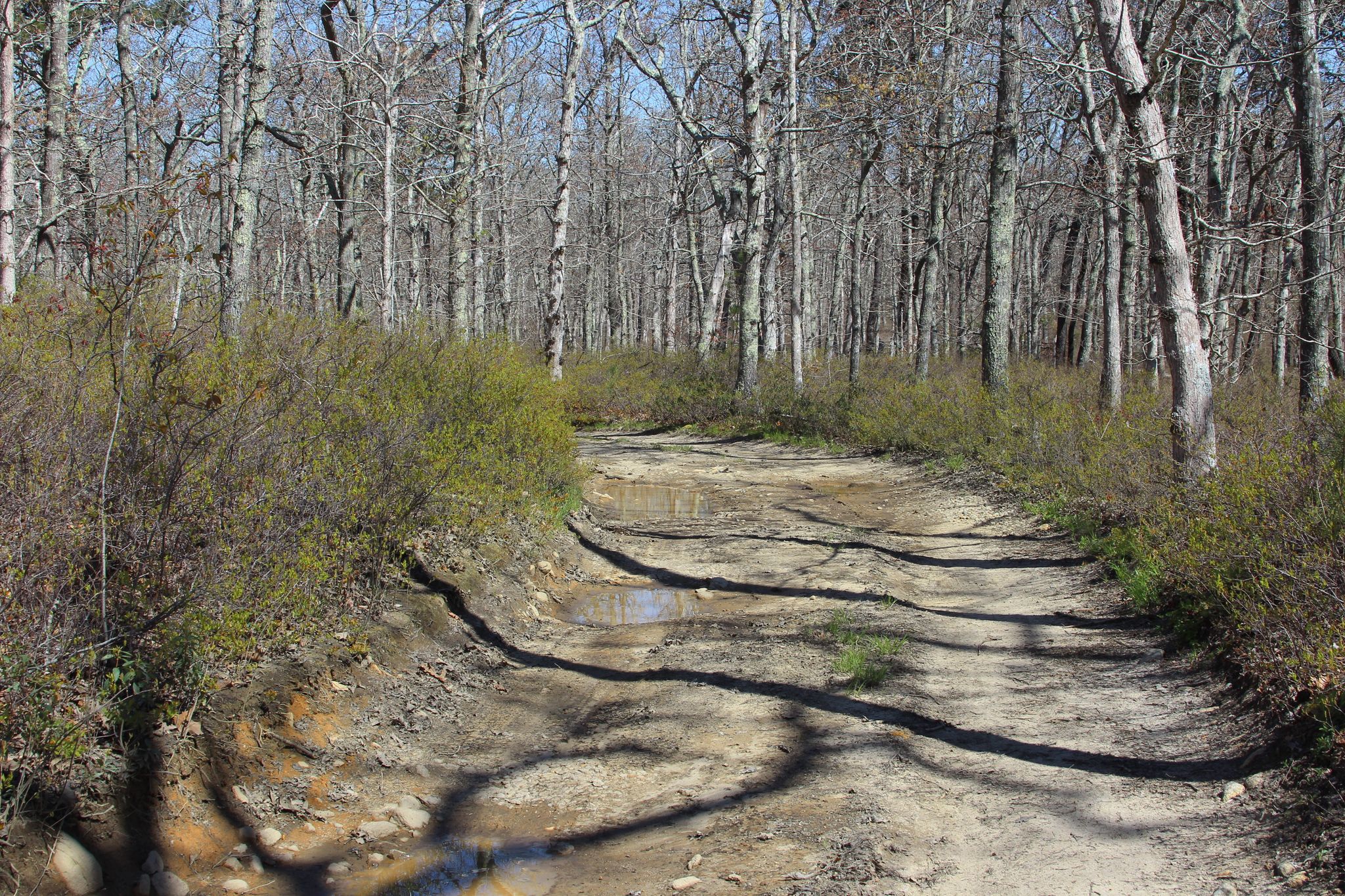 dirt road near intersection with Sailor's Burying Ground Road