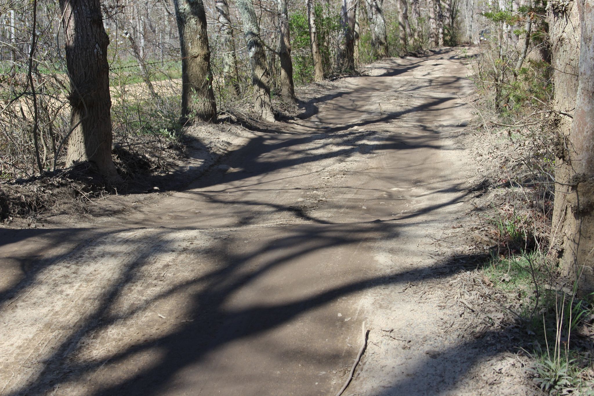 dirt road with many ups and downs