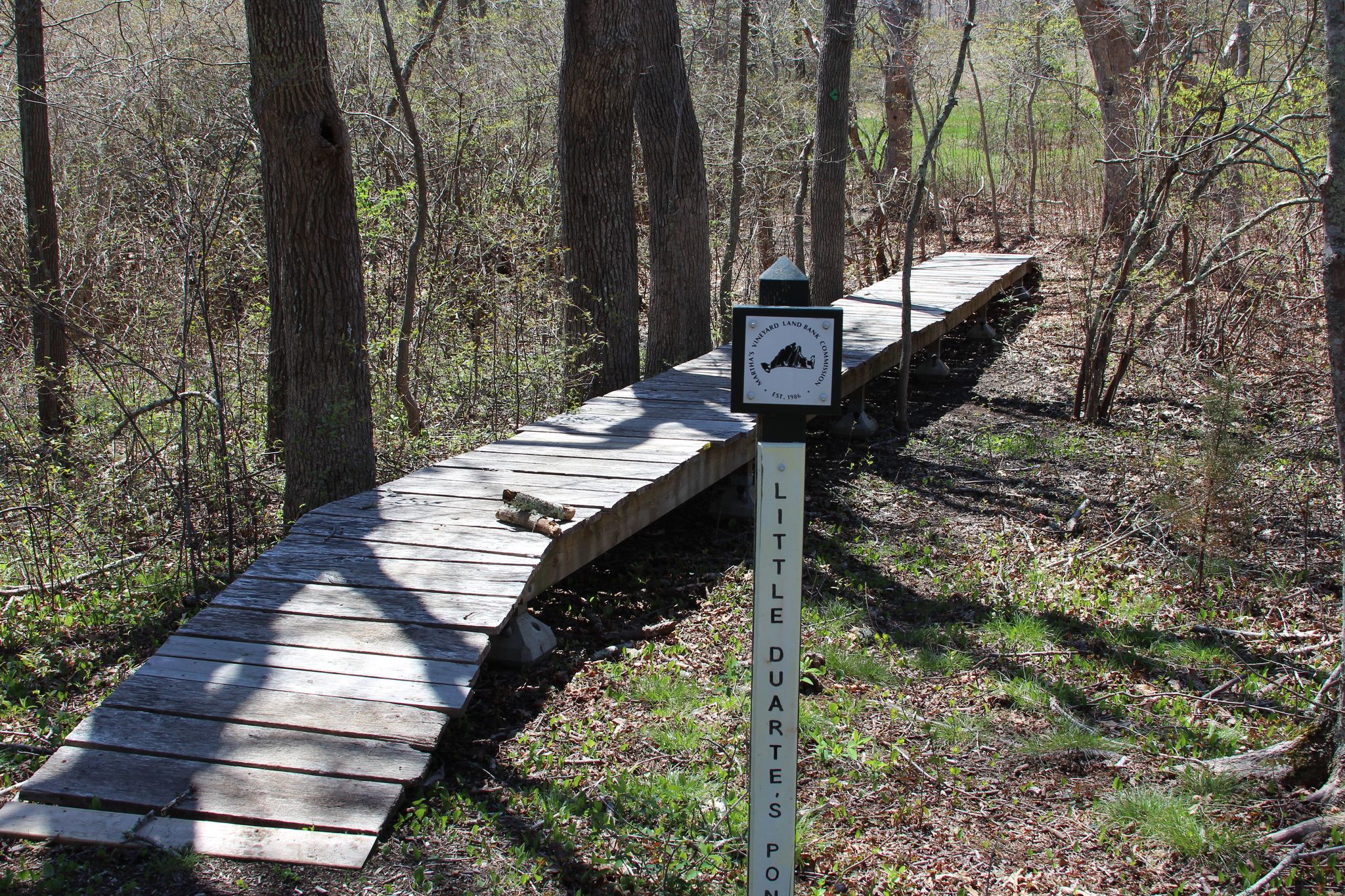 boardwalk