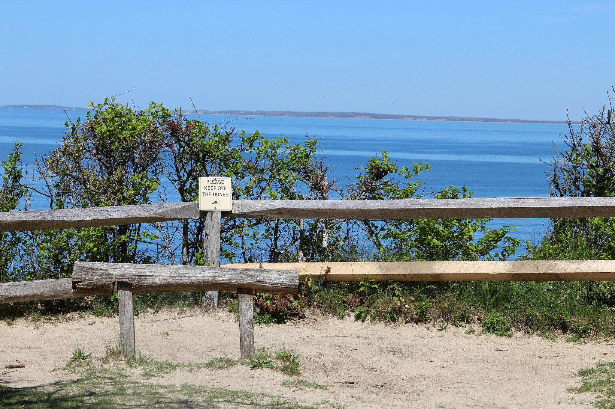 bench overlooking view