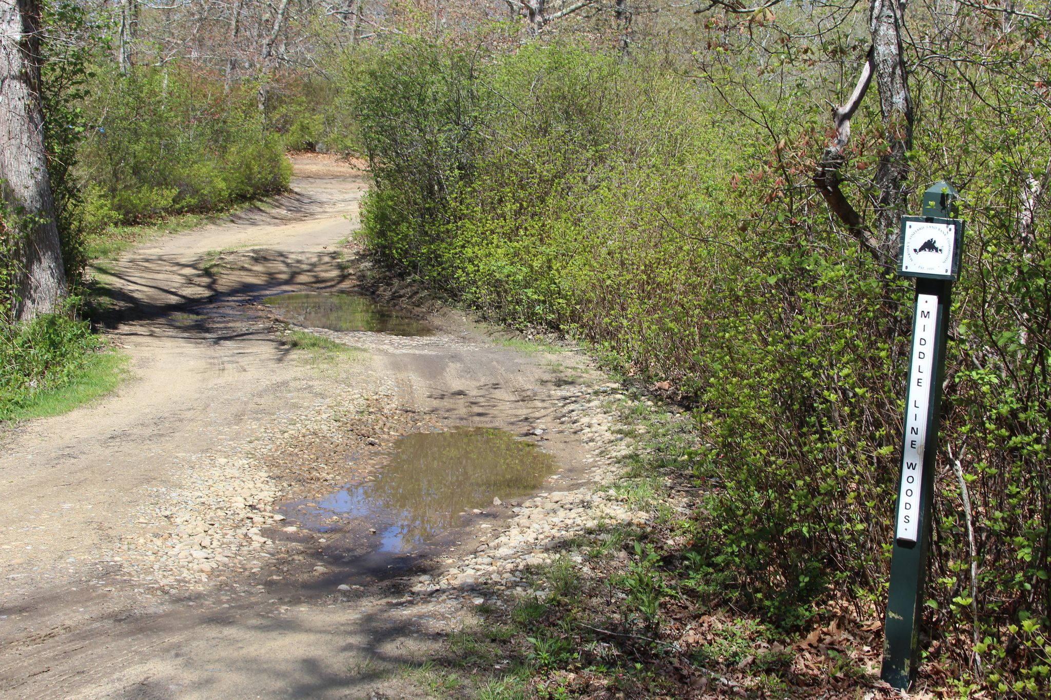 driveway in off Middle Line Road