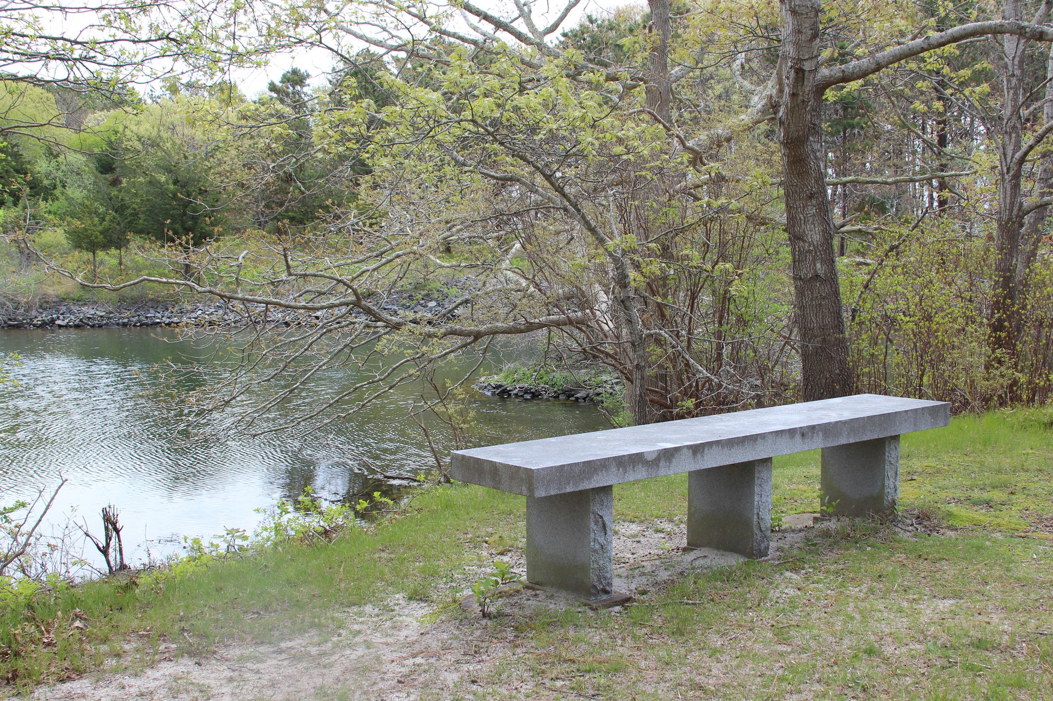 bench along trail