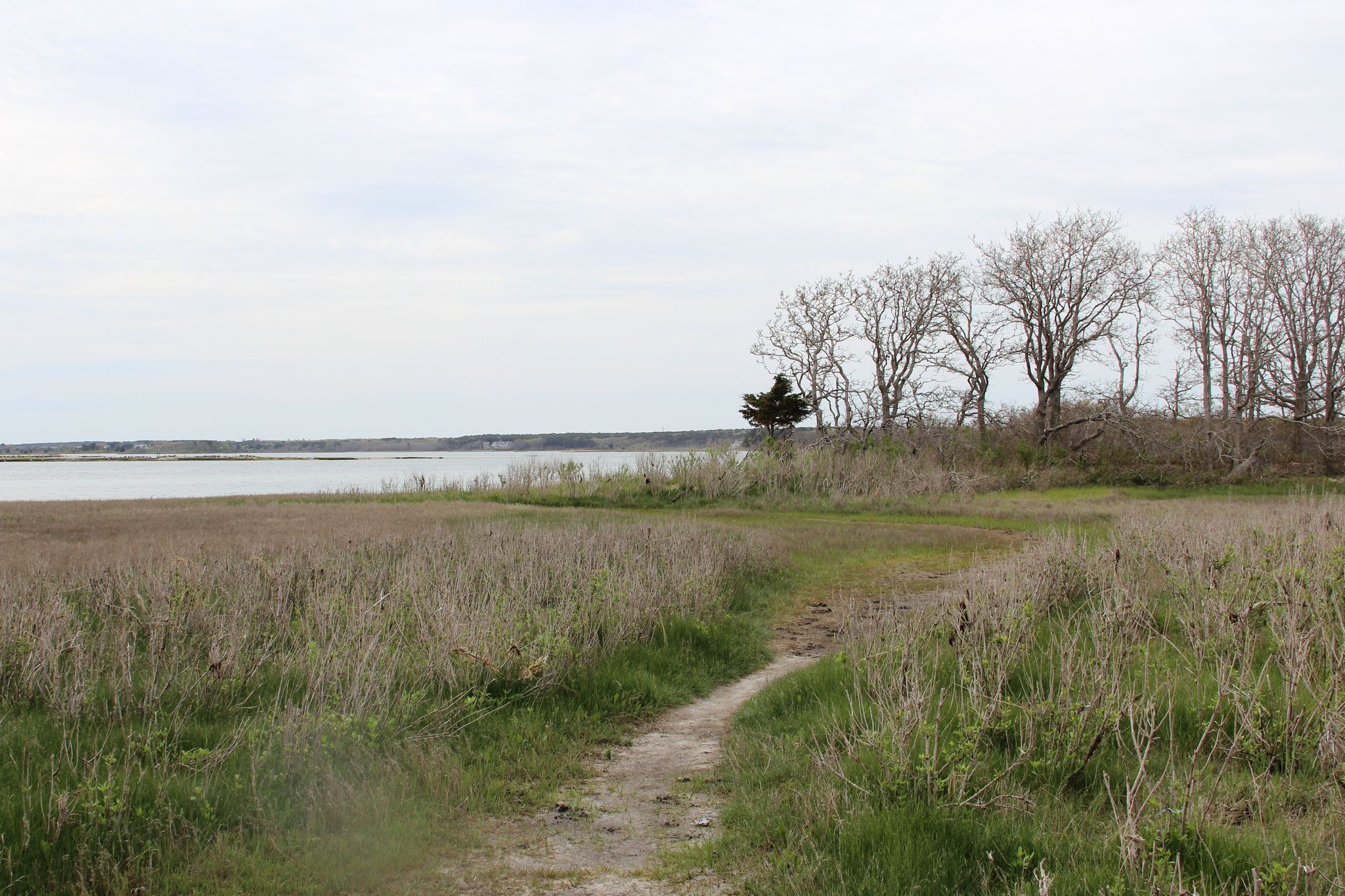 view along path