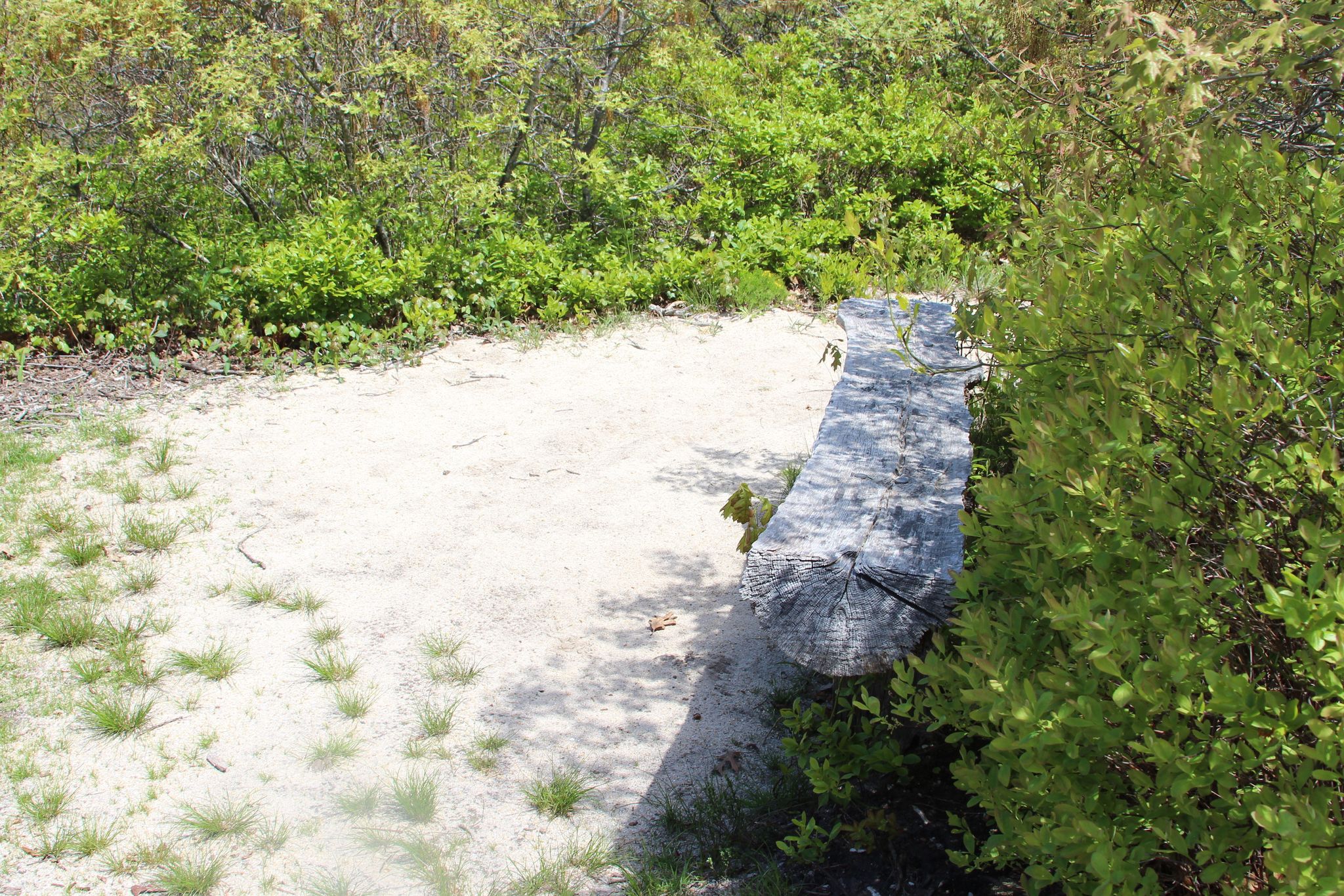 bench overlooking north shore