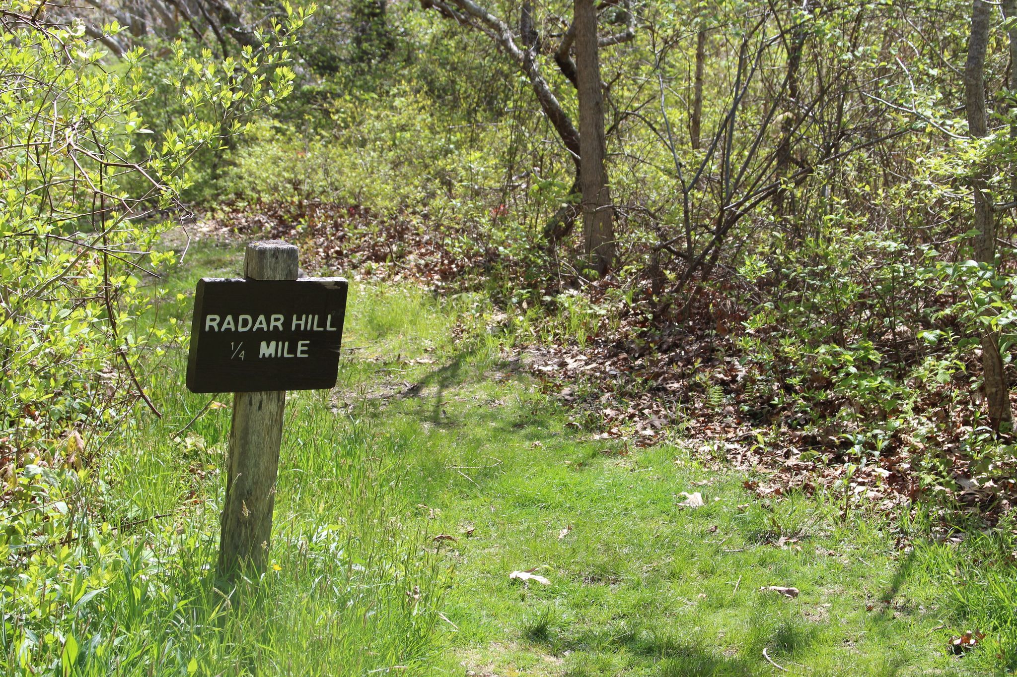 at parking/trailhead