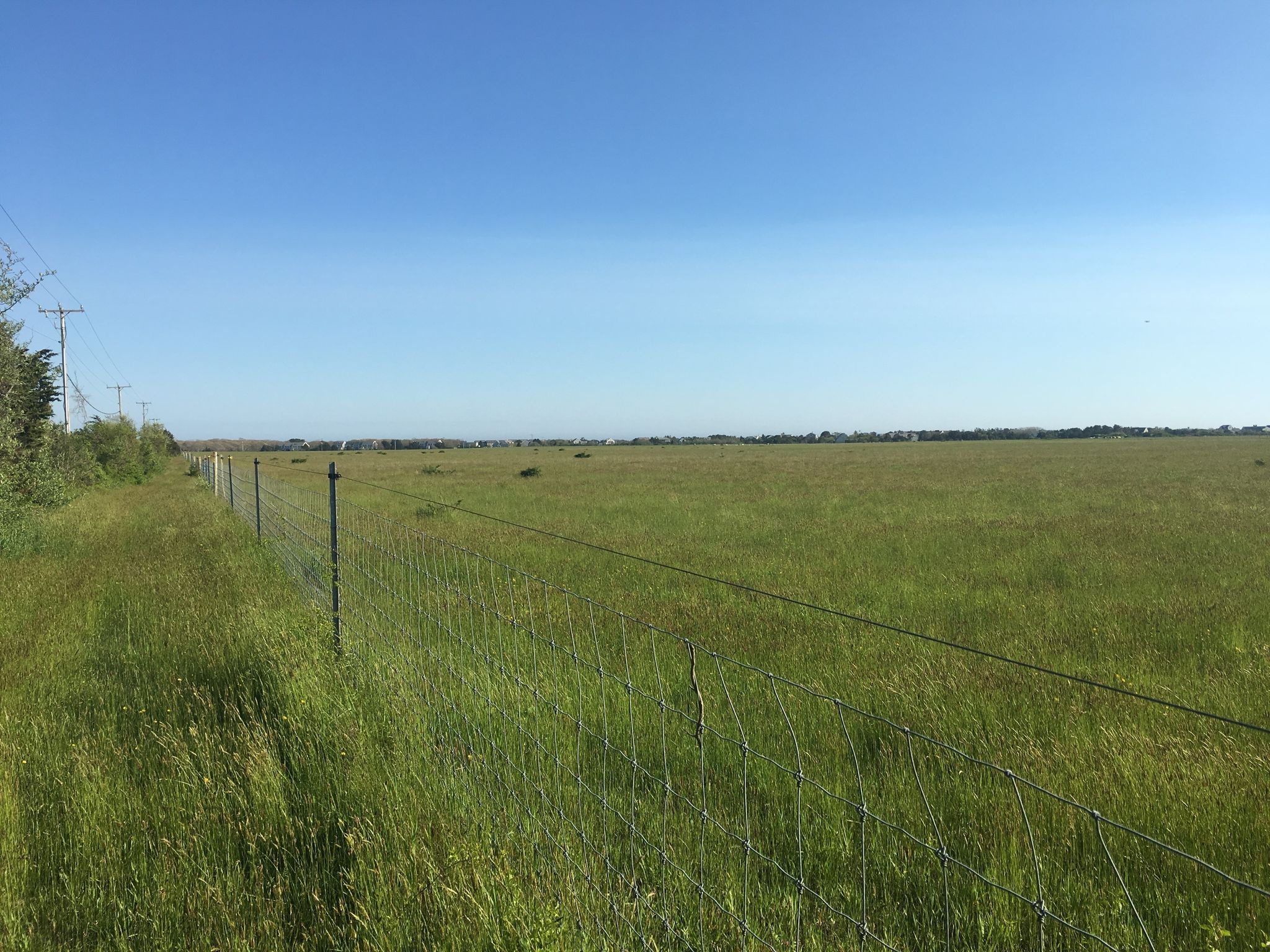 field view from trail