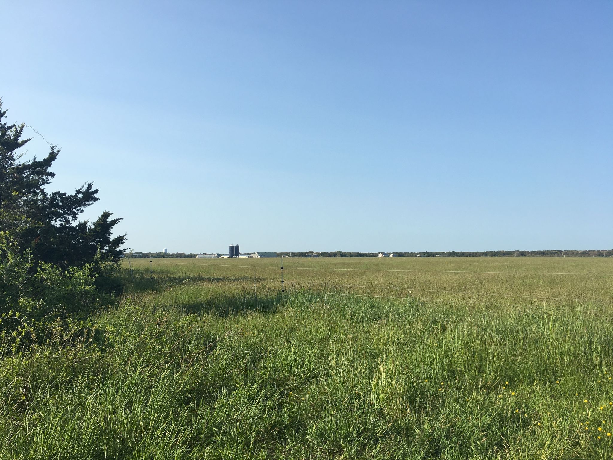 field view from trail