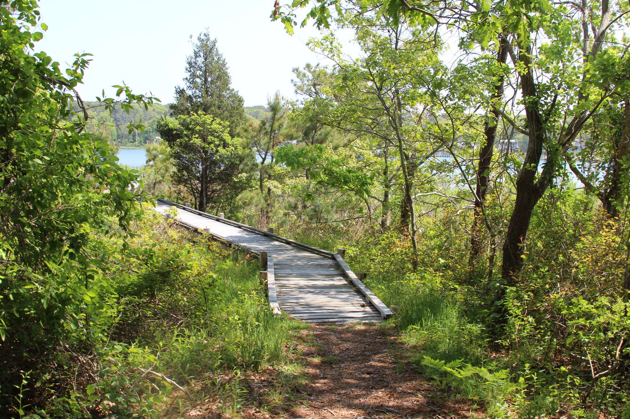 boardwalk