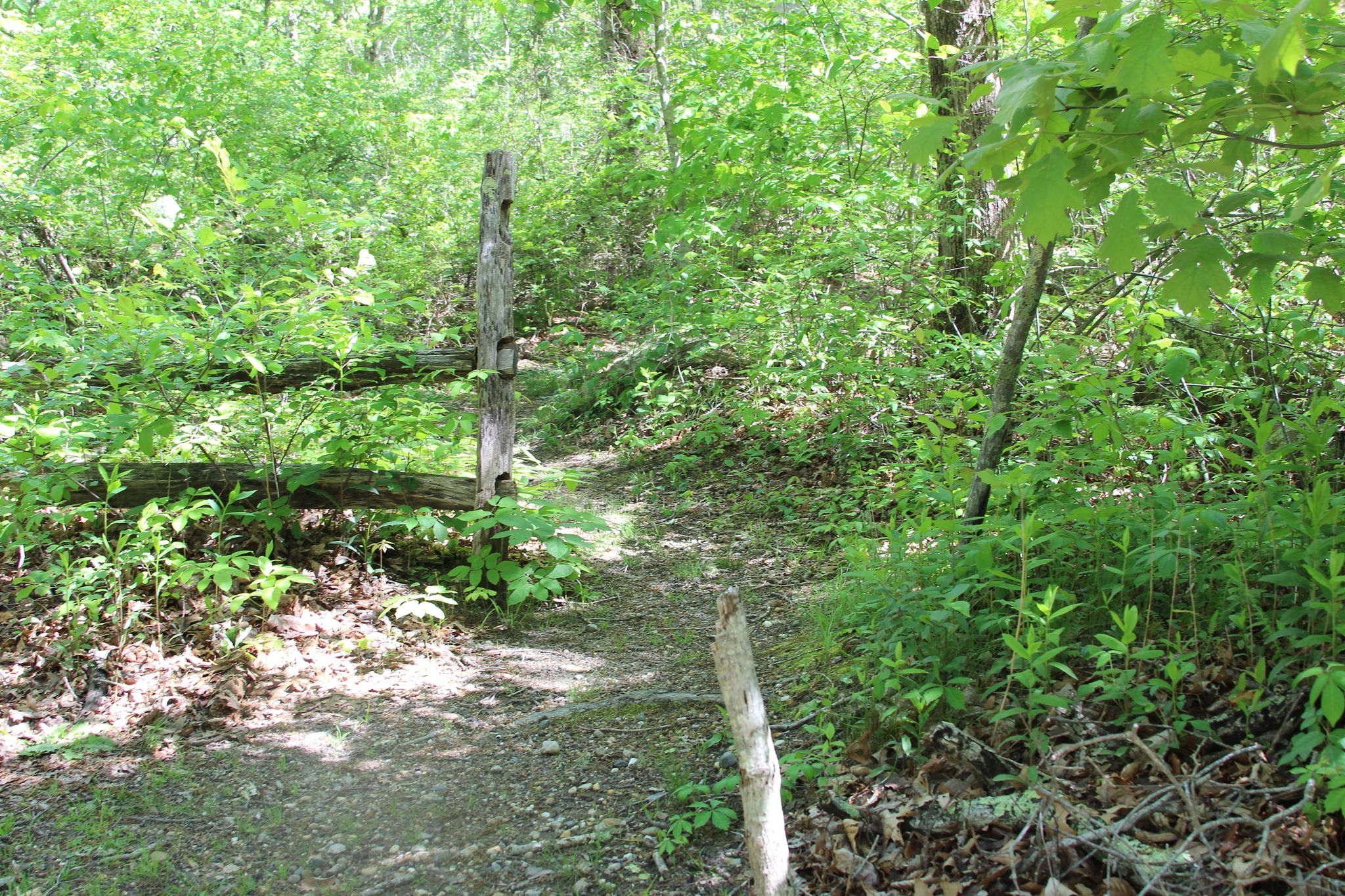 Beginning of River Trail