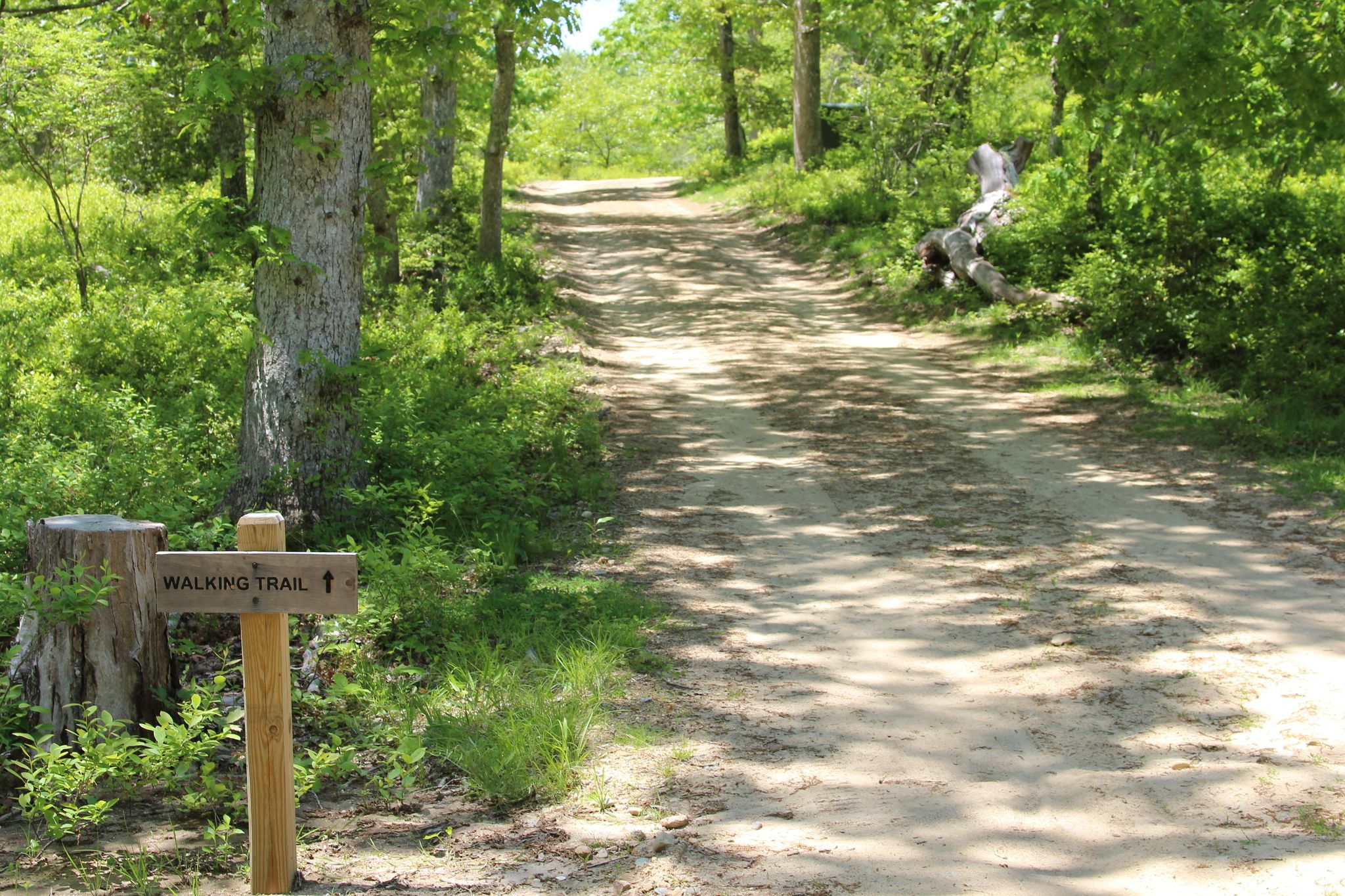 dirt road