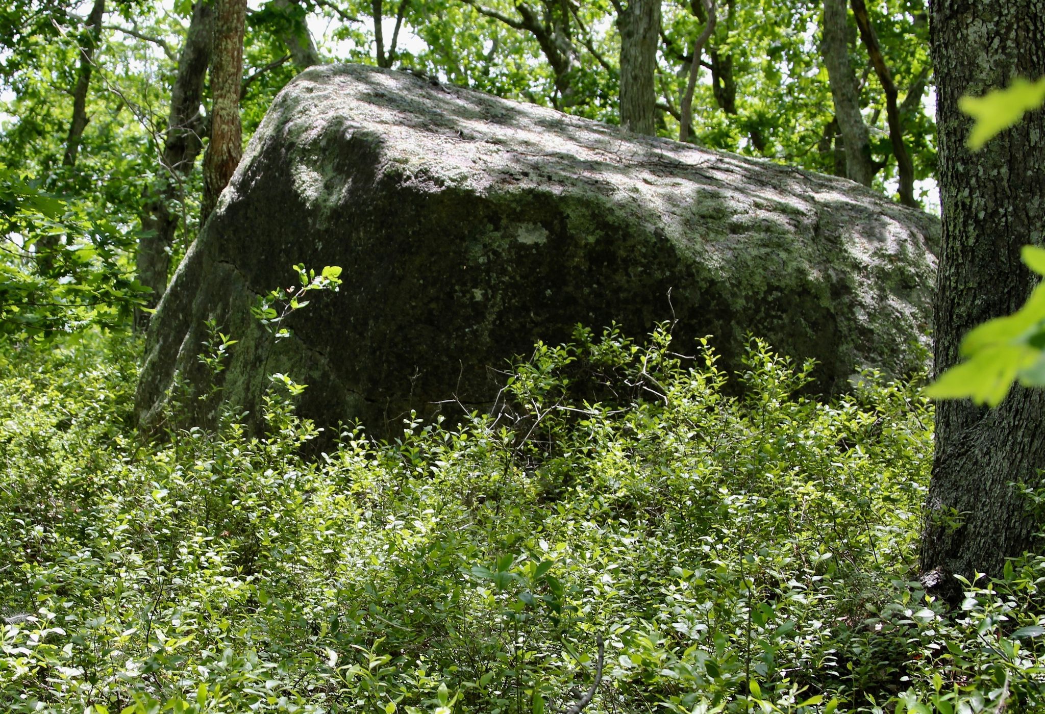 erratic alongside path