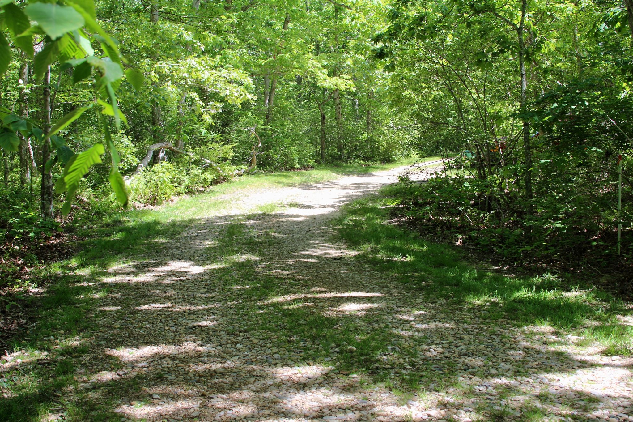 Church Pasture Way