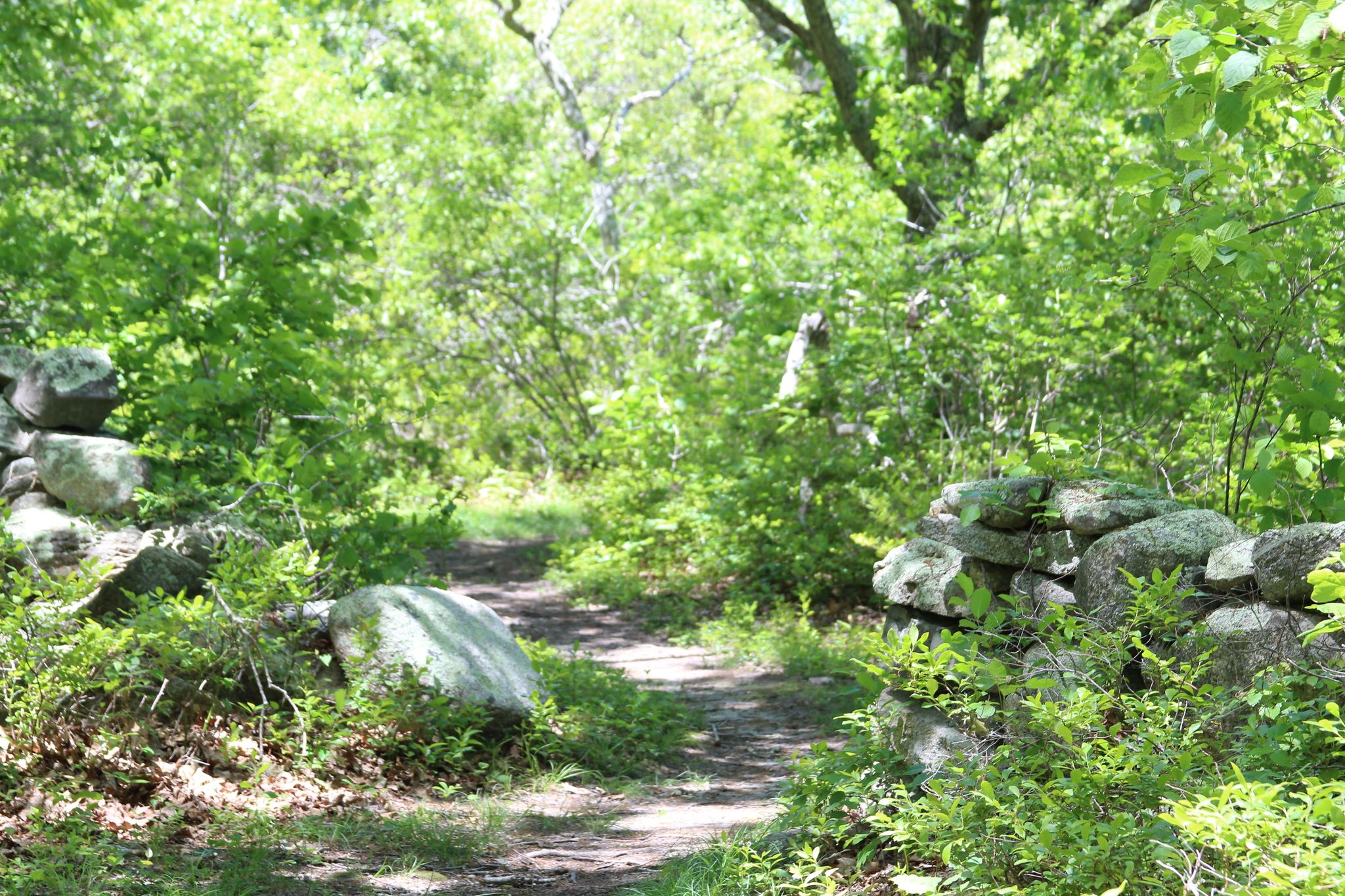 through stone wall near edge of property