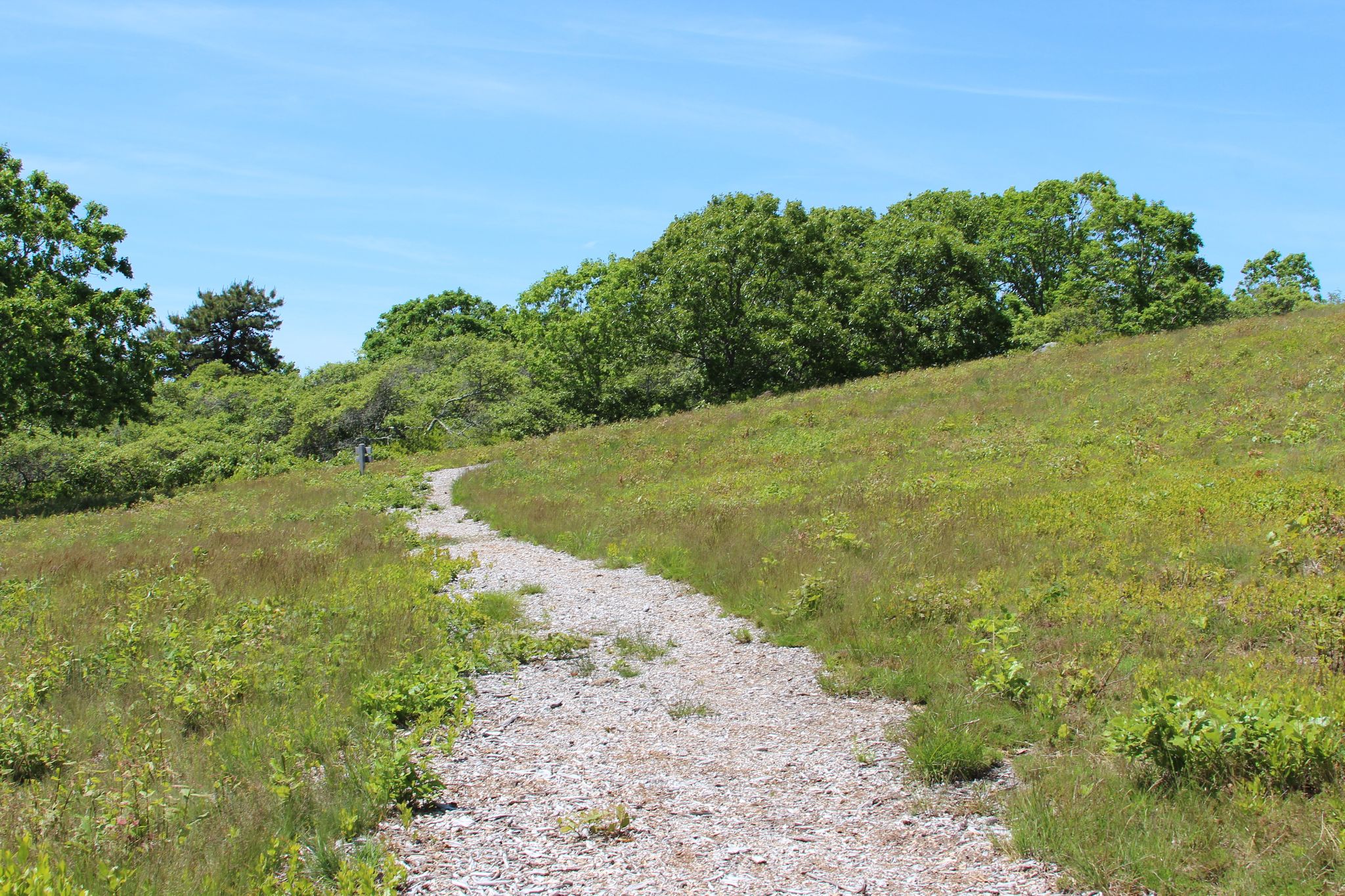 field path