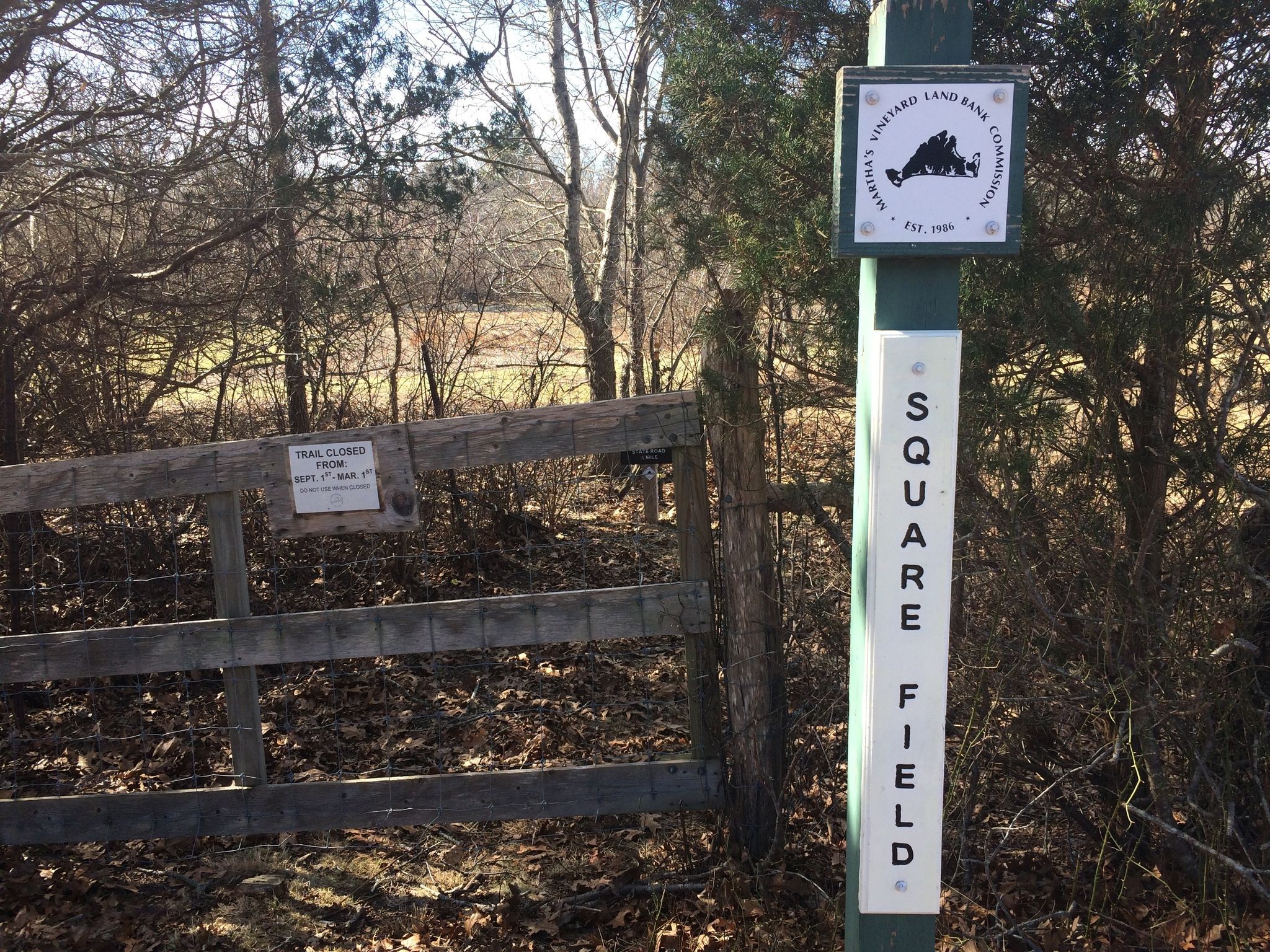 trailhead off Old County Road