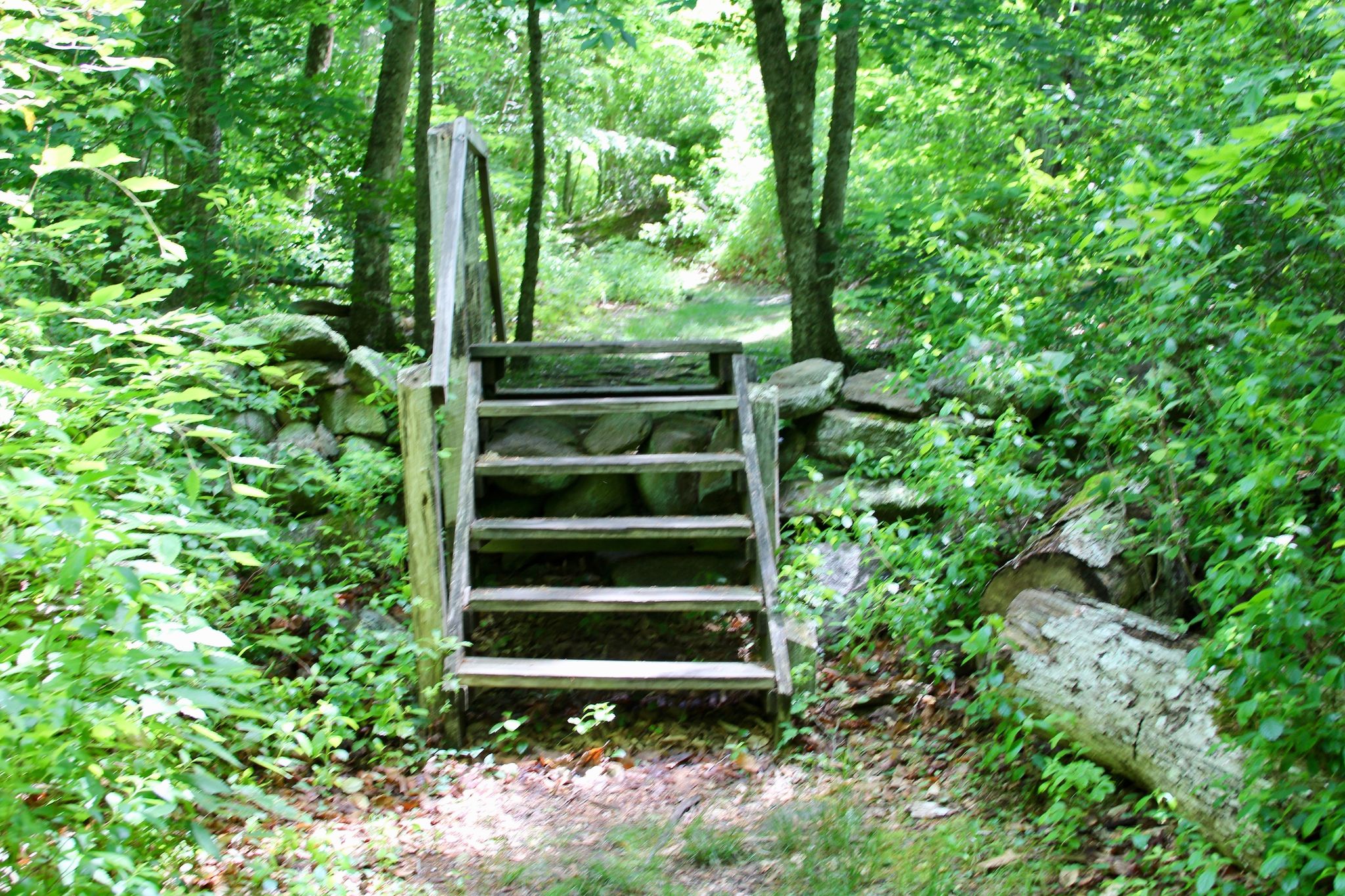 steps over stone wall