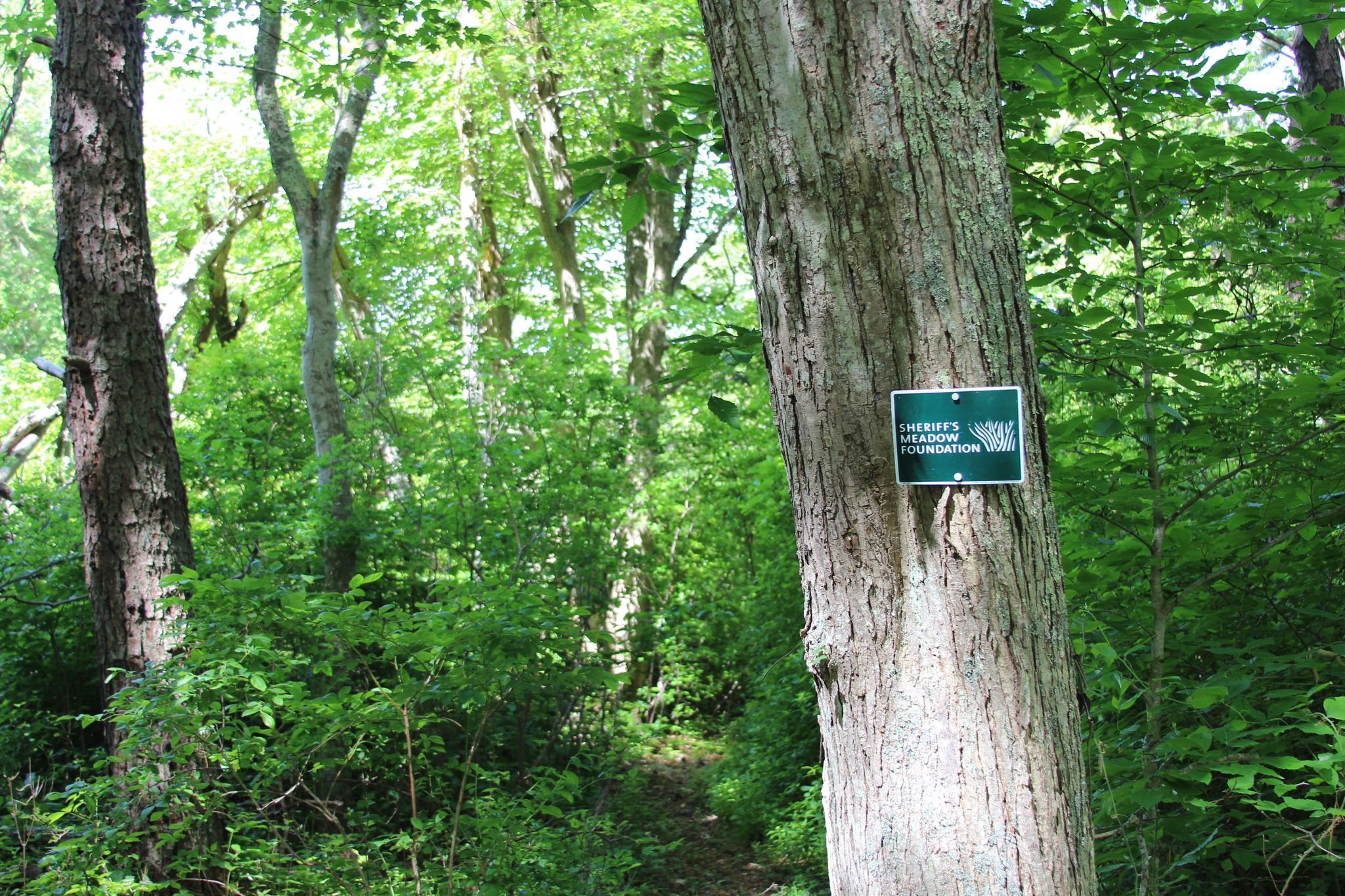 sign on Old Farm Road