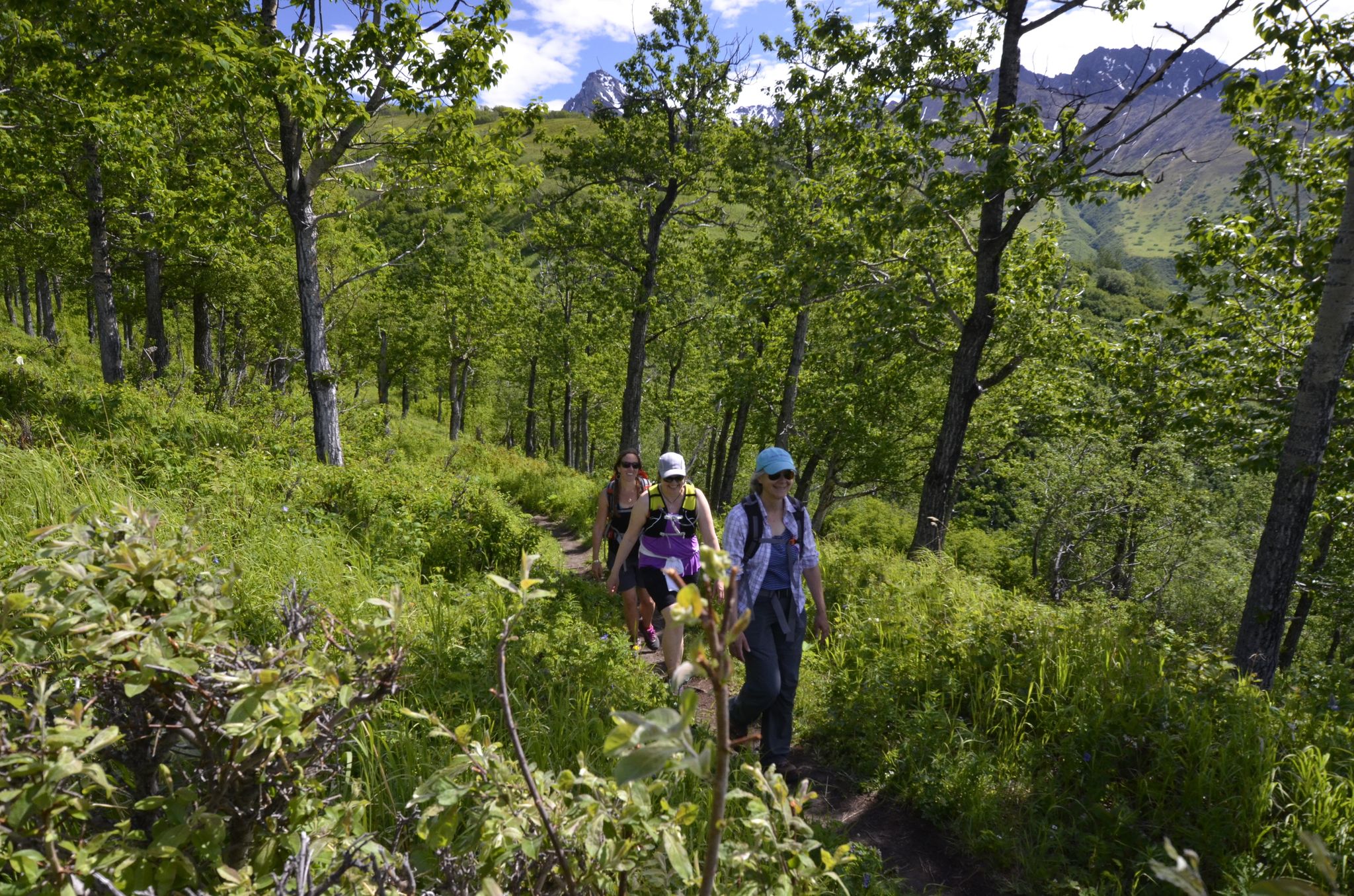 Hiking up the Lazy Moose Trail