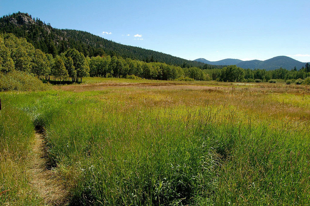 Hiking the Horseshoe and Mule Deer trails in Golden Gate Canyon State Park near Denver. This is Frazer Meadow, at about 9,100 feet of elevation.