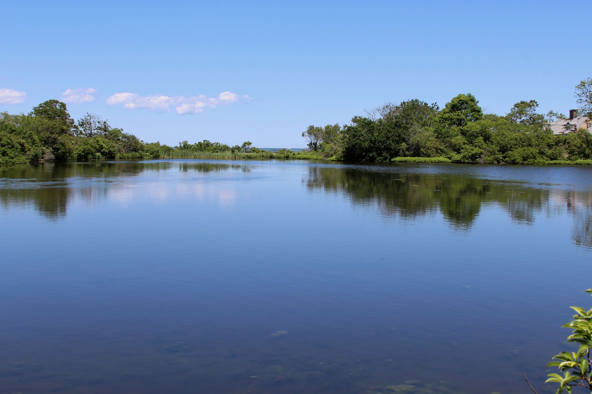 view of Sheriff's Pond