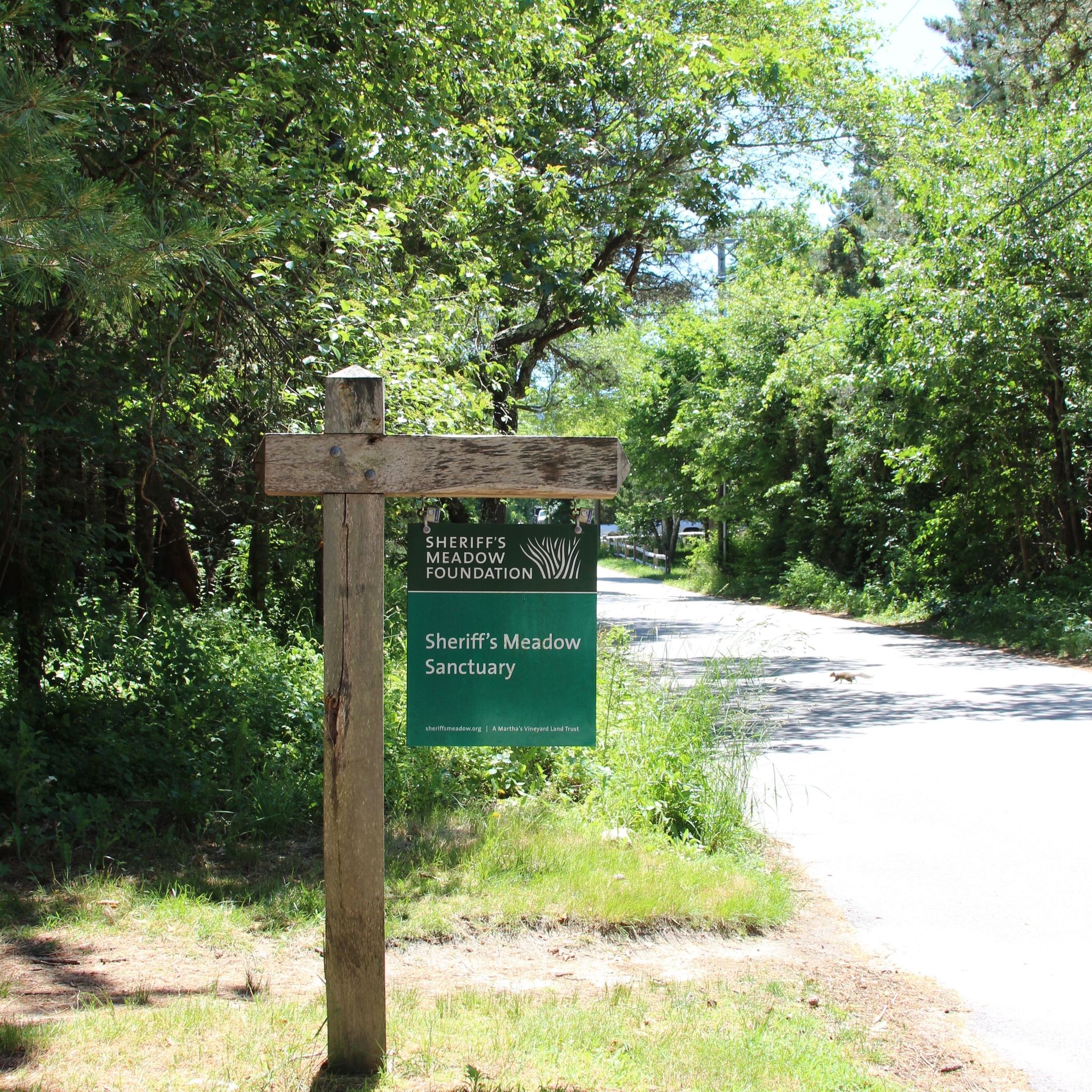 sign at Planting Field Way