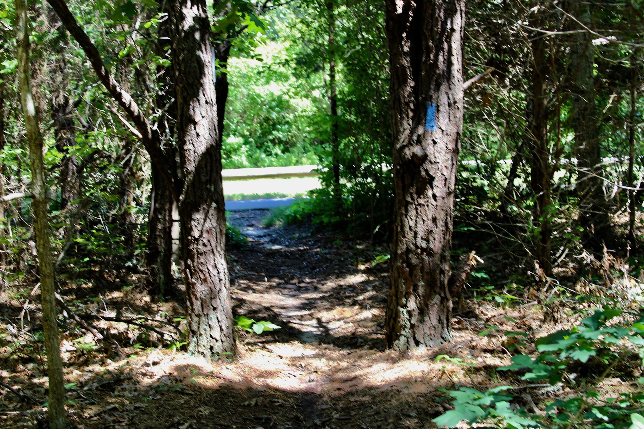 at Beach Road bike path