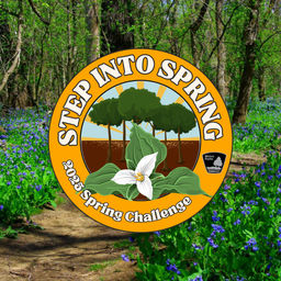Step Into Spring Cover Photo